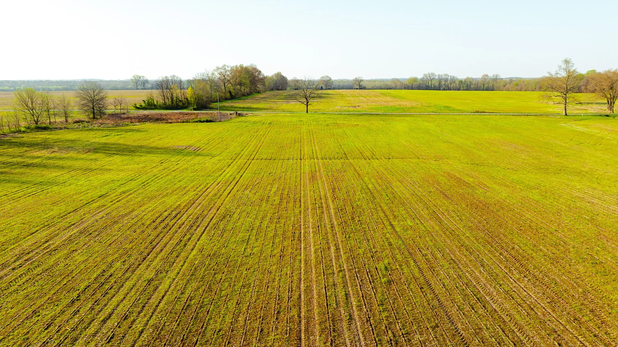 DJI_20260326084647_0023_D.jpg