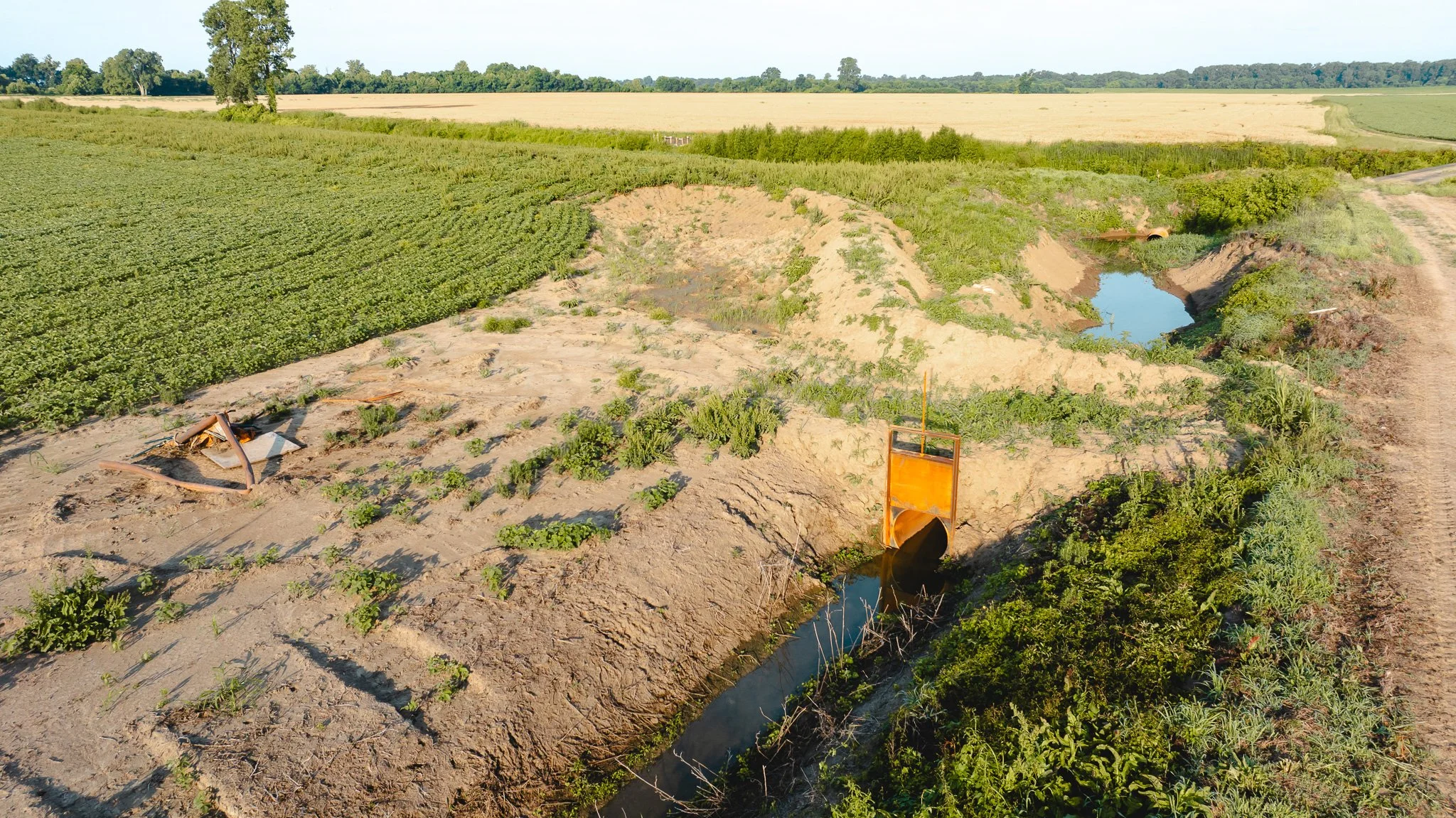 DJI_20260602141614_0066_D.jpg