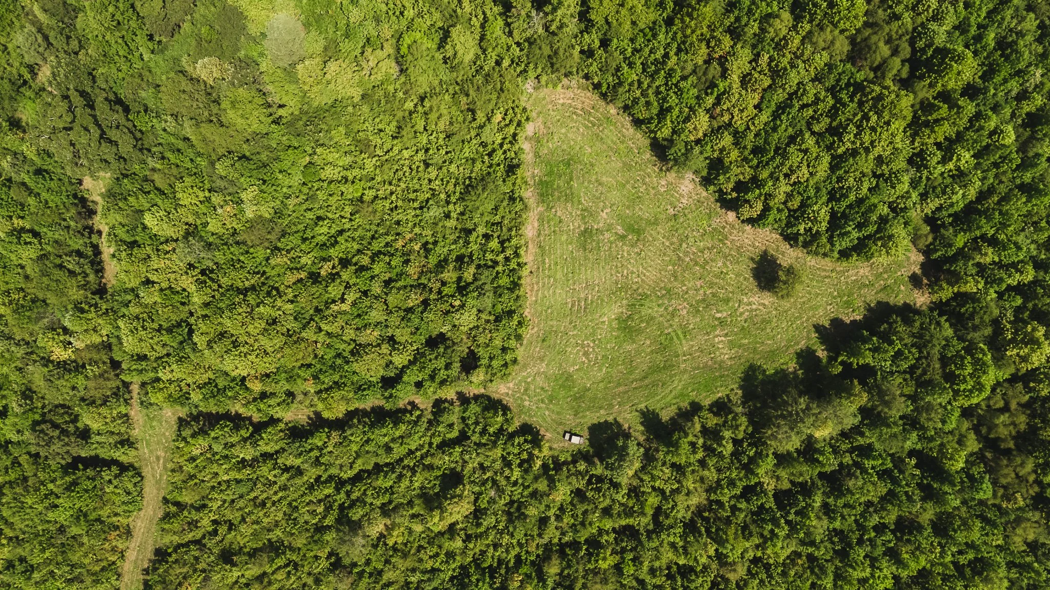 DJI_20250814105015_0042_D.jpg