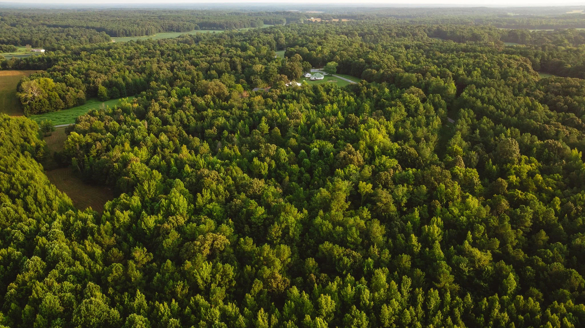 DJI_20260812143520_0146_D.jpg