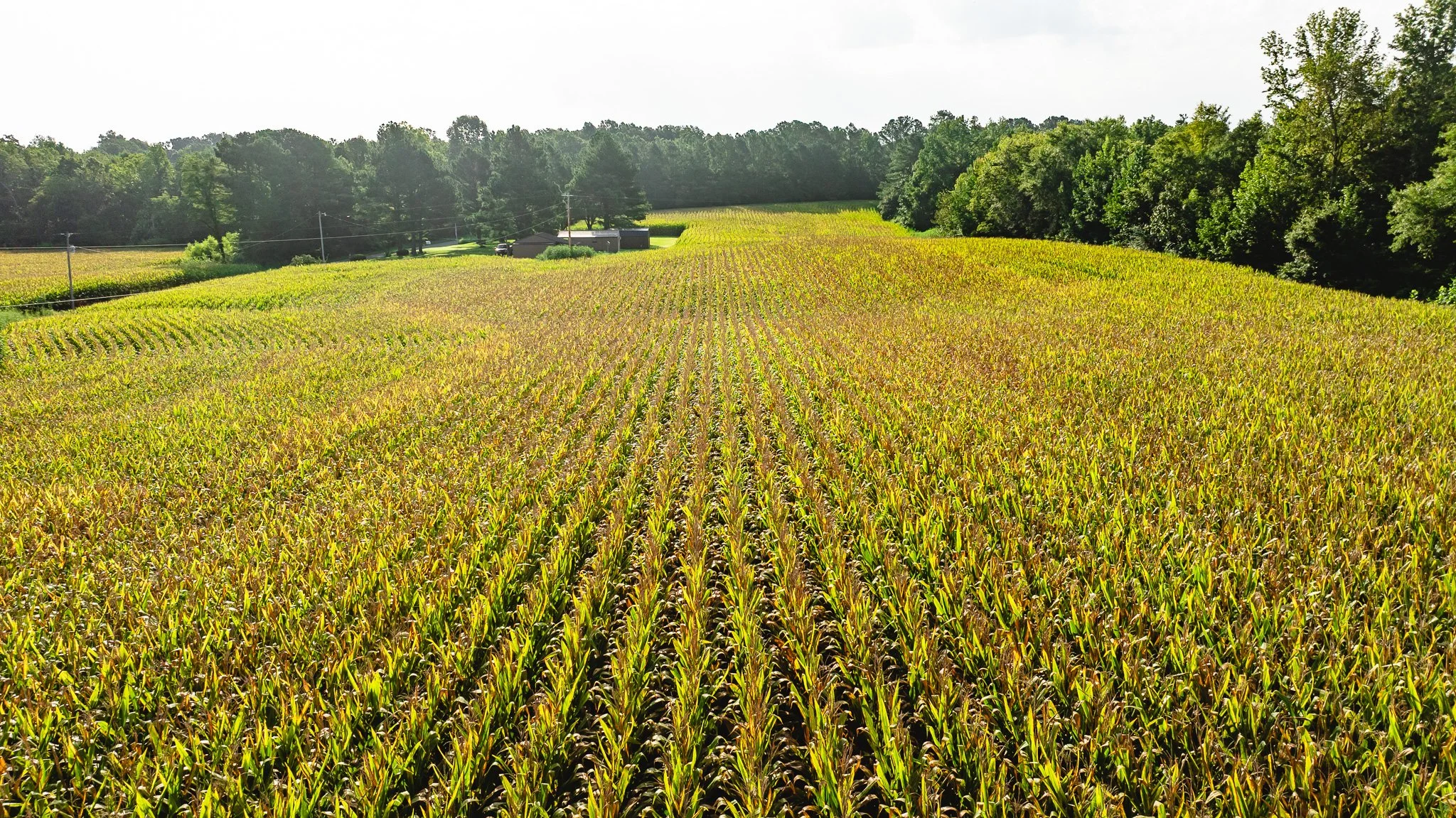 DJI_20260815154630_0036_D.jpg