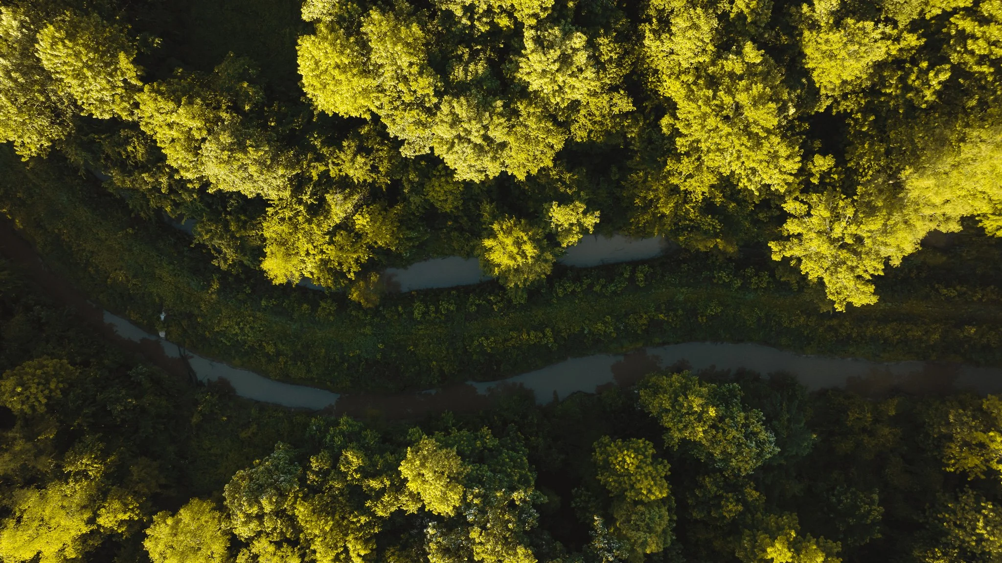DJI_20260505143651_0063_D.jpg