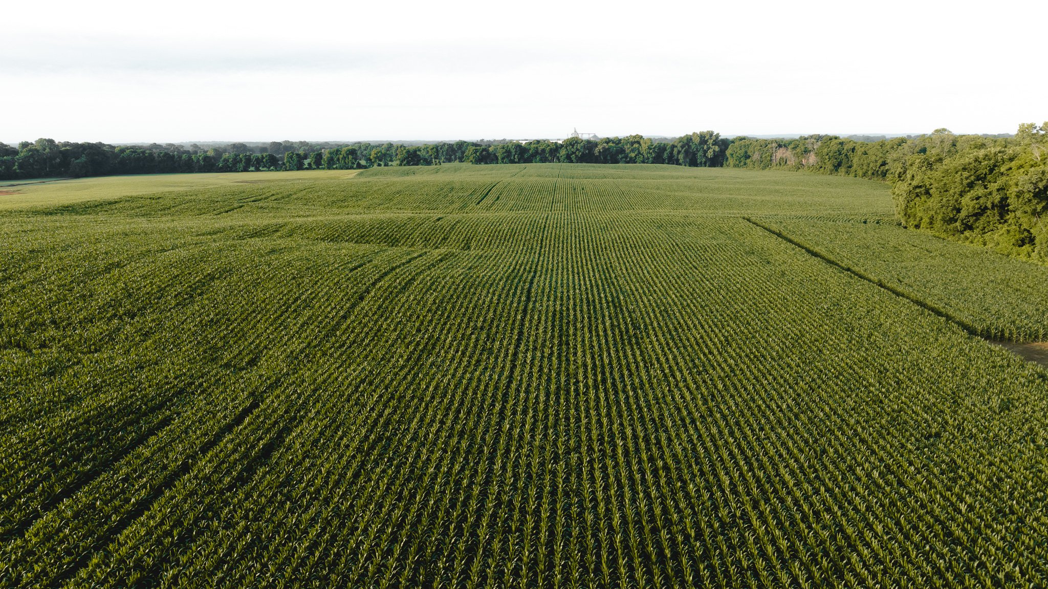 DJI_20260531140301_0077_D.jpg