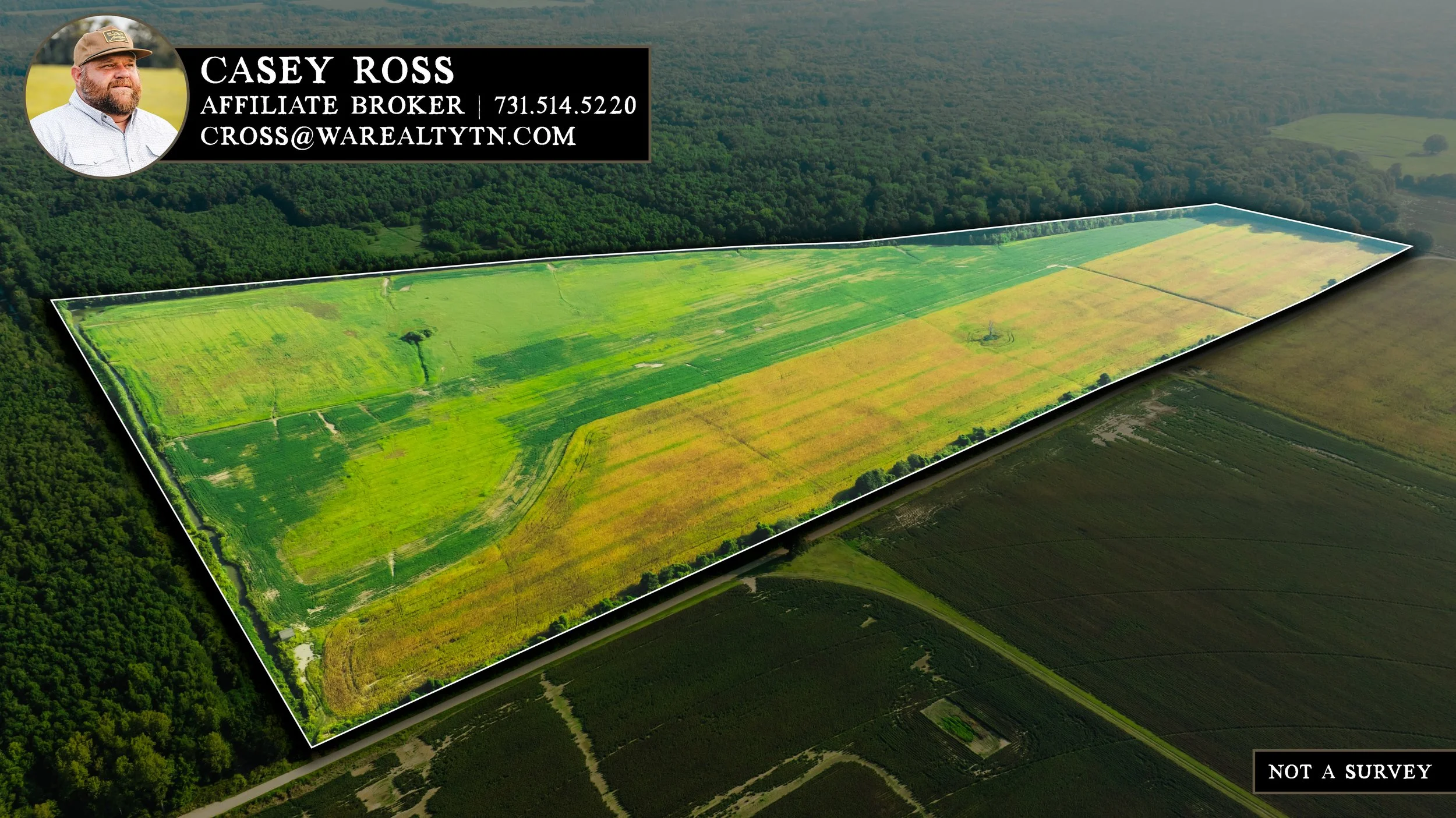 DJI_20250915091501_0003_D-3.jpg
