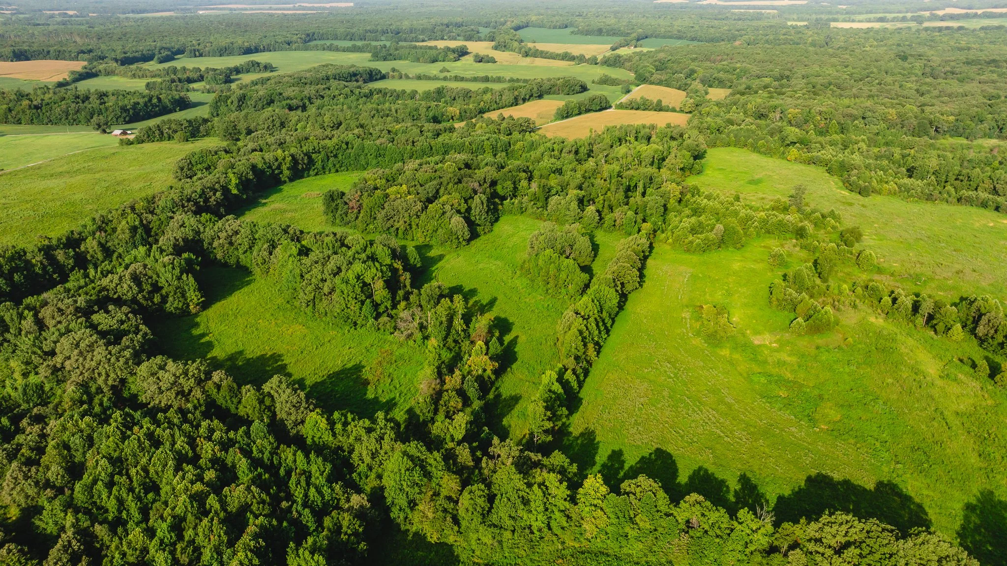 DJI_20260815154356_0031_D.jpg