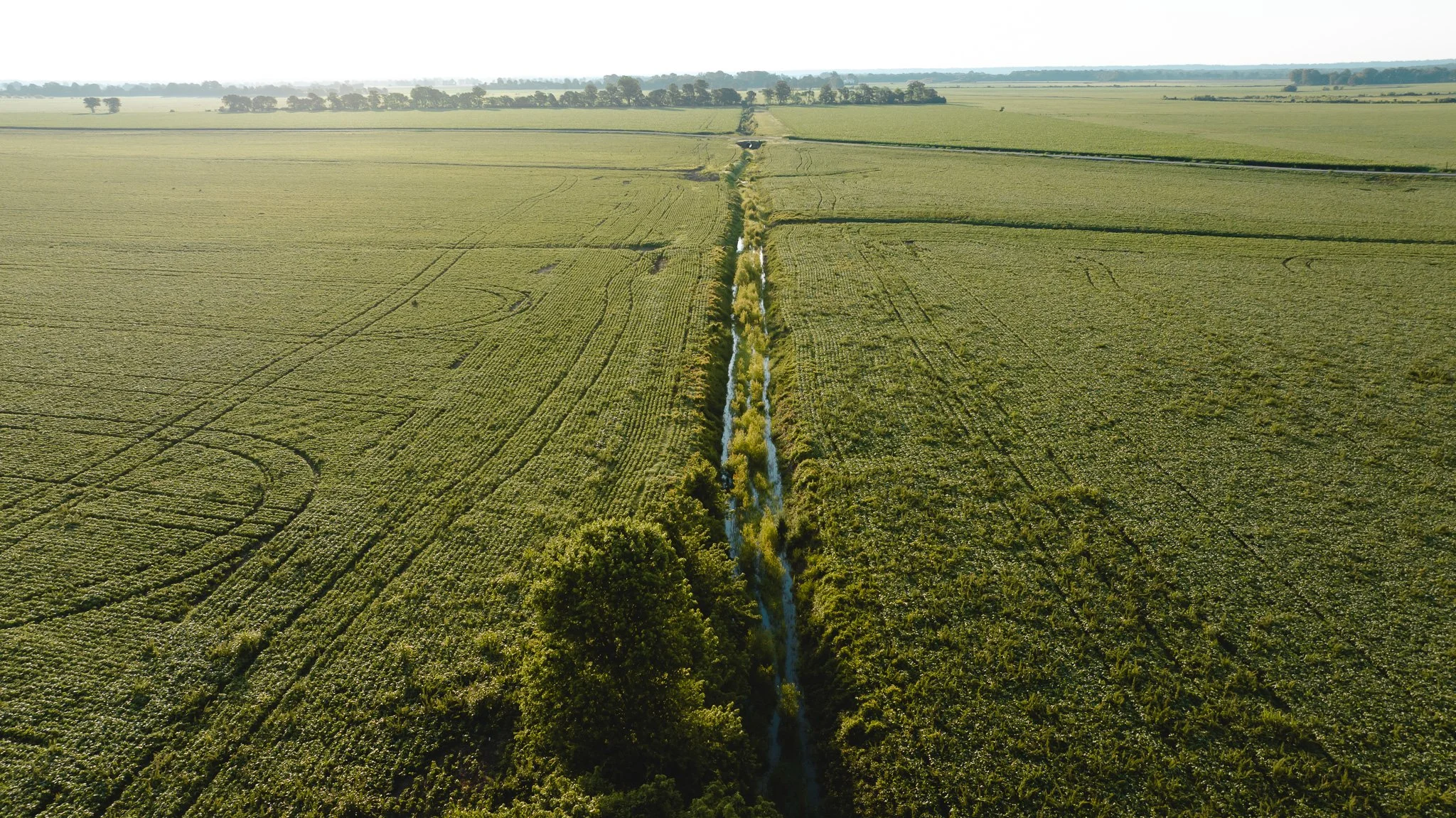 DJI_20260602134802_0010_D.jpg