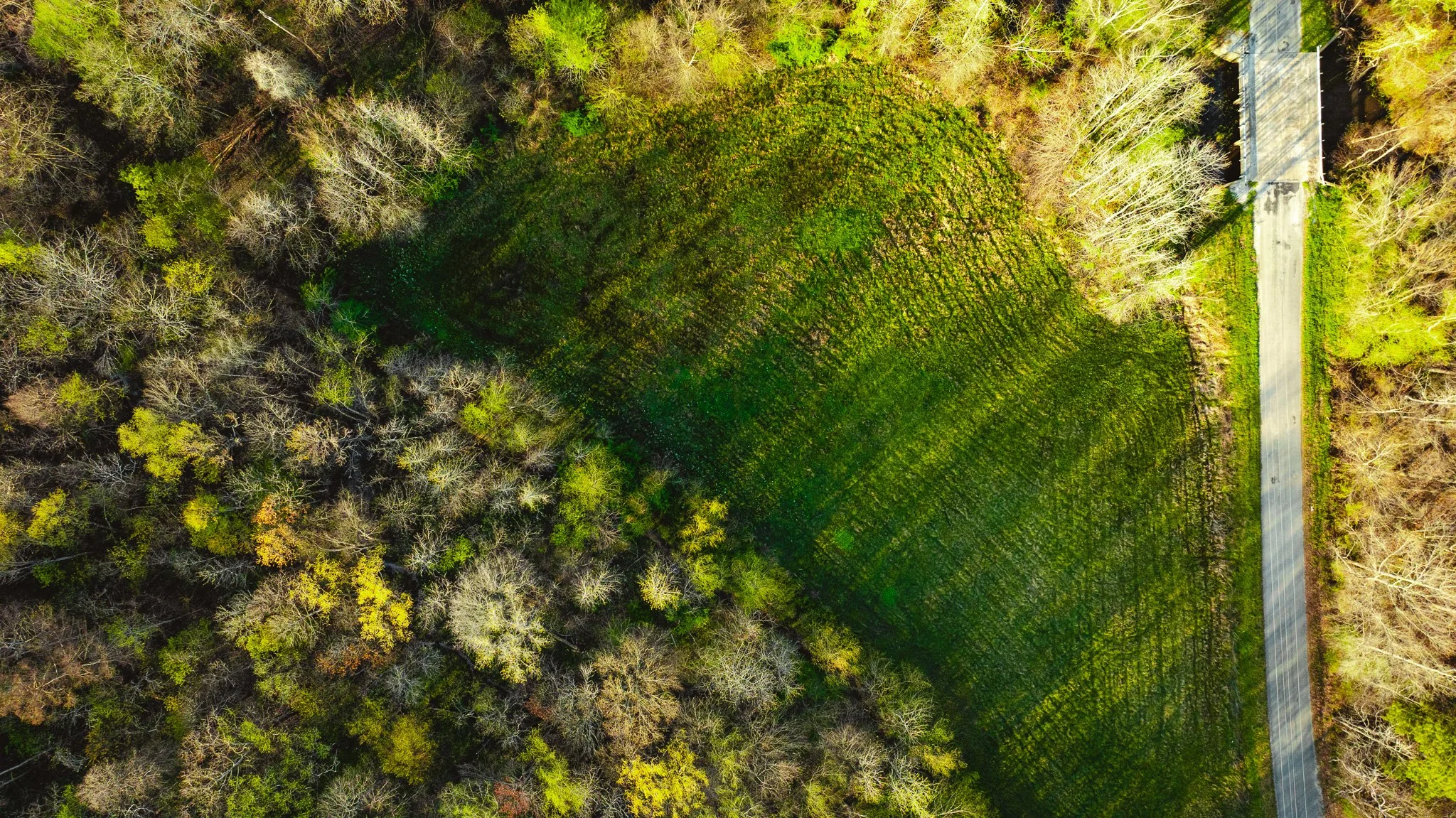 DJI_20260326084116_0012_D.jpg