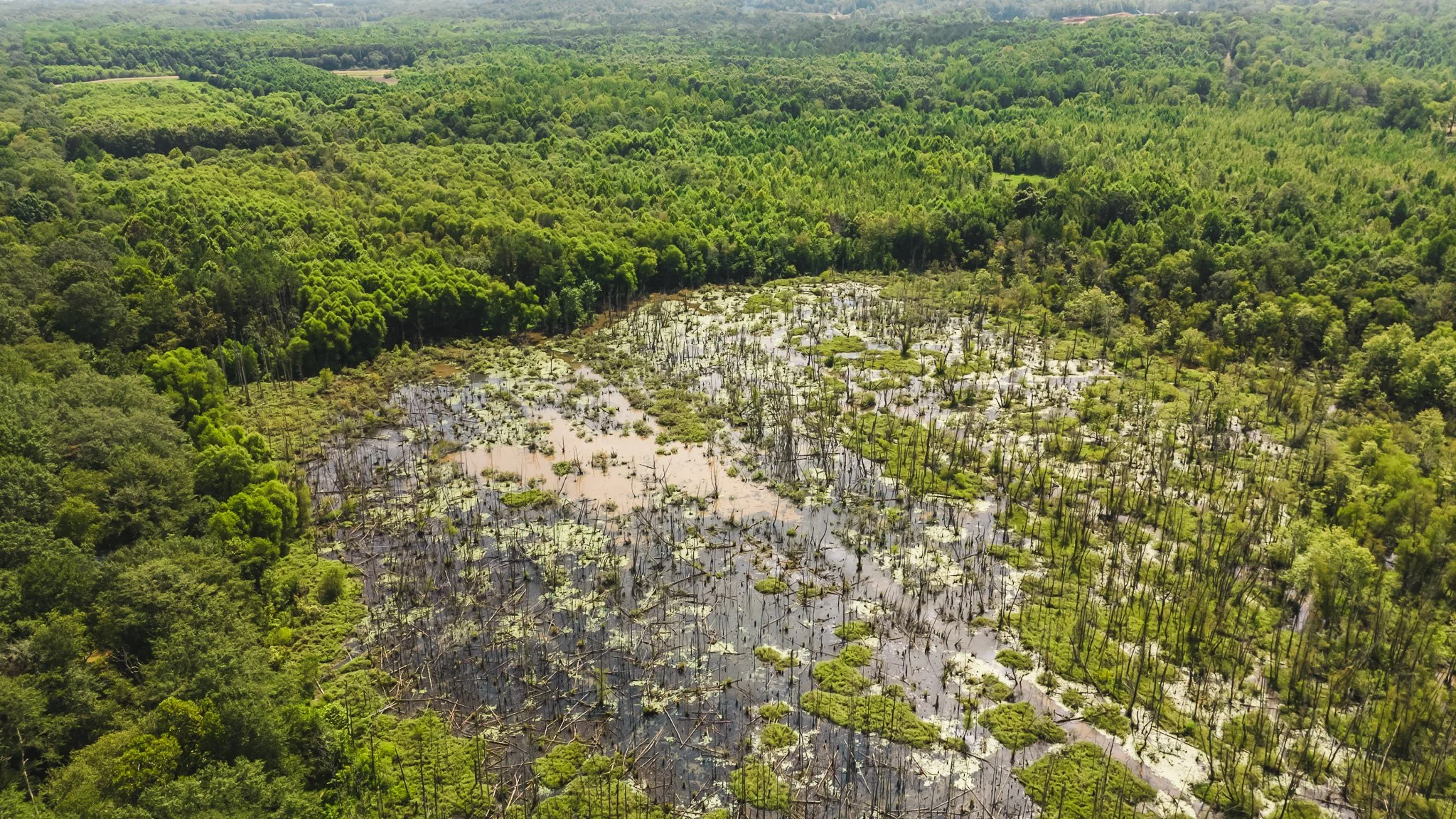 DJI_20250814102008_0012_D.jpg