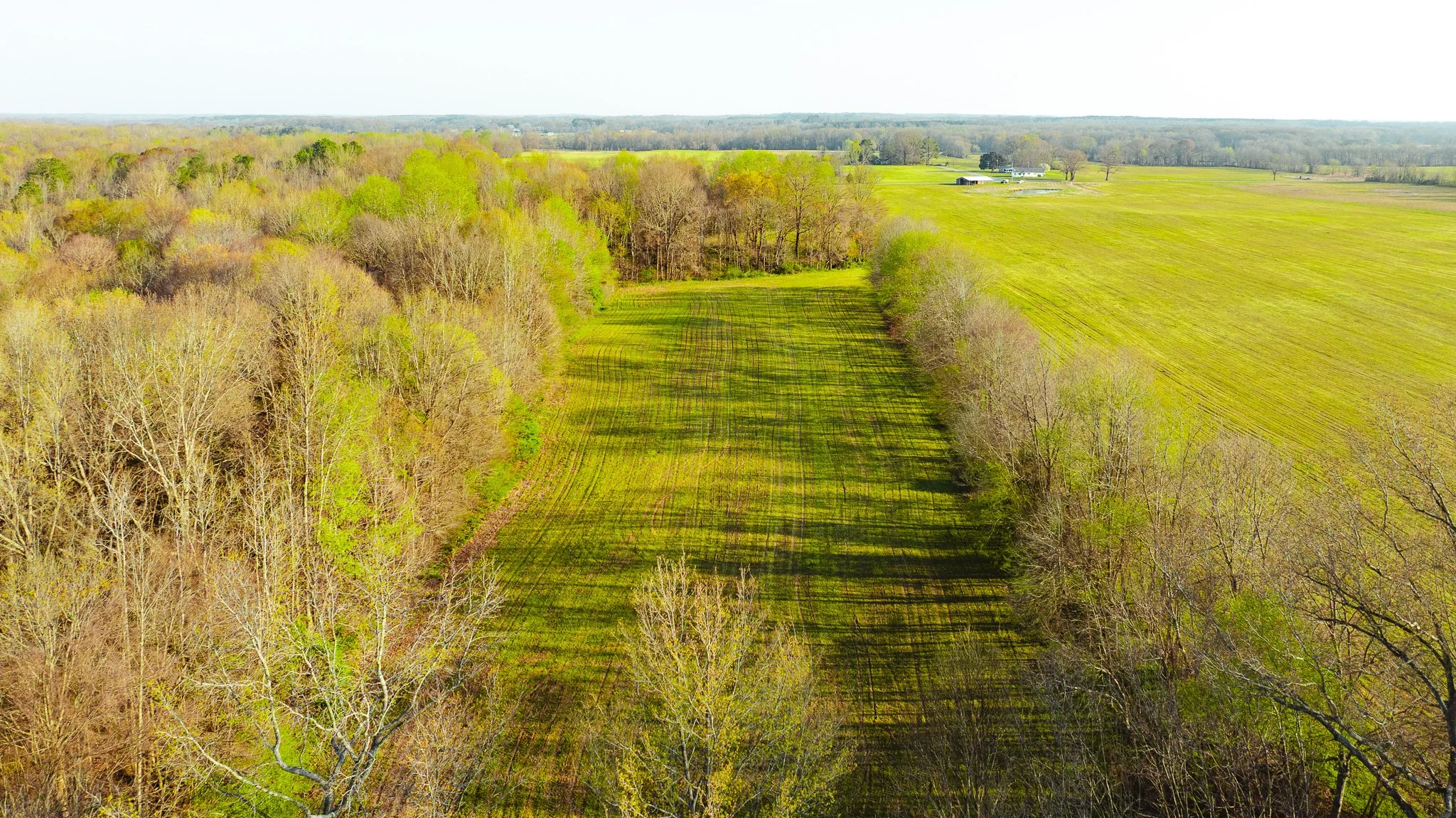 DJI_20260326084308_0018_D.jpg