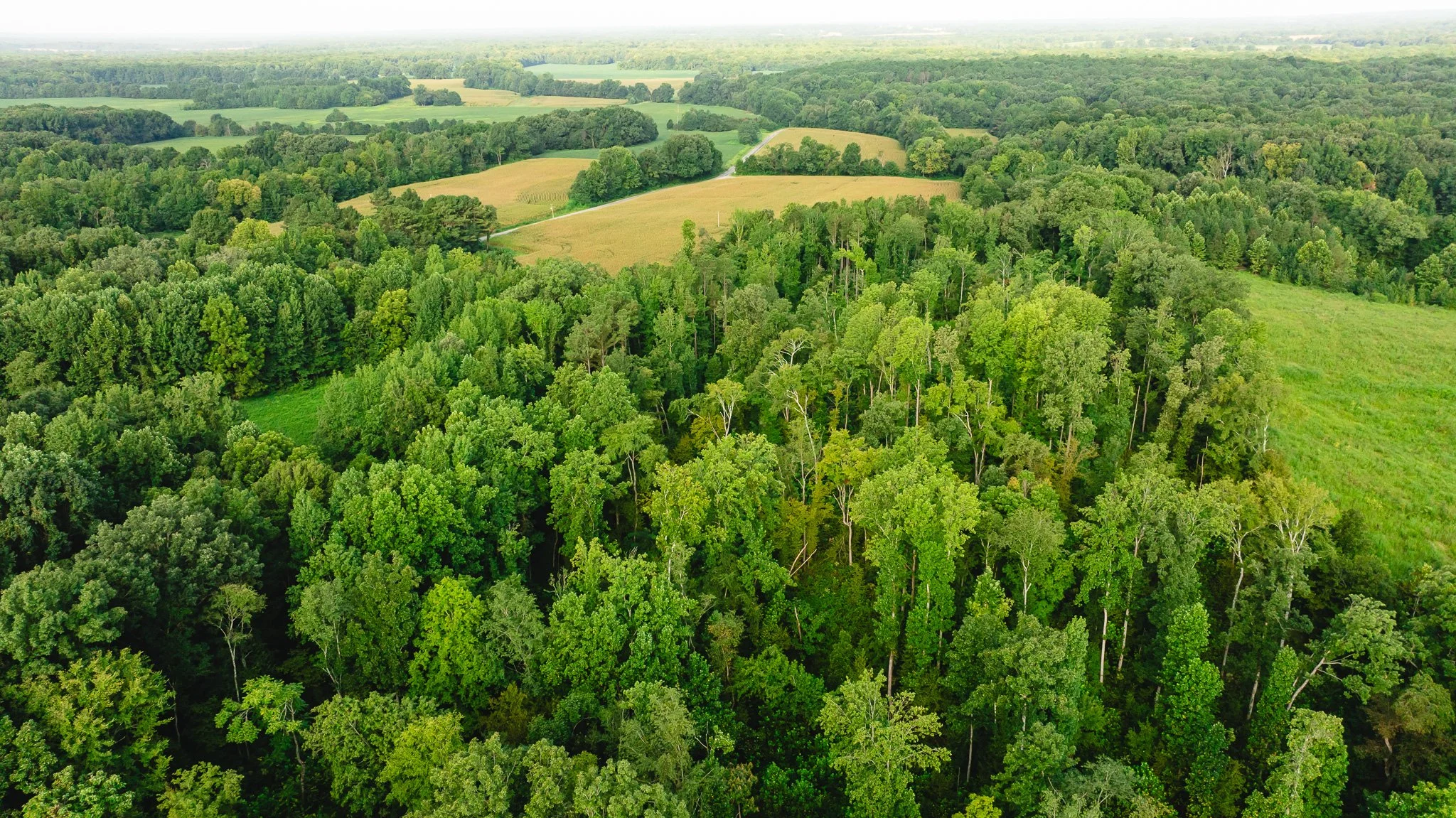 DJI_20260815153604_0012_D.jpg