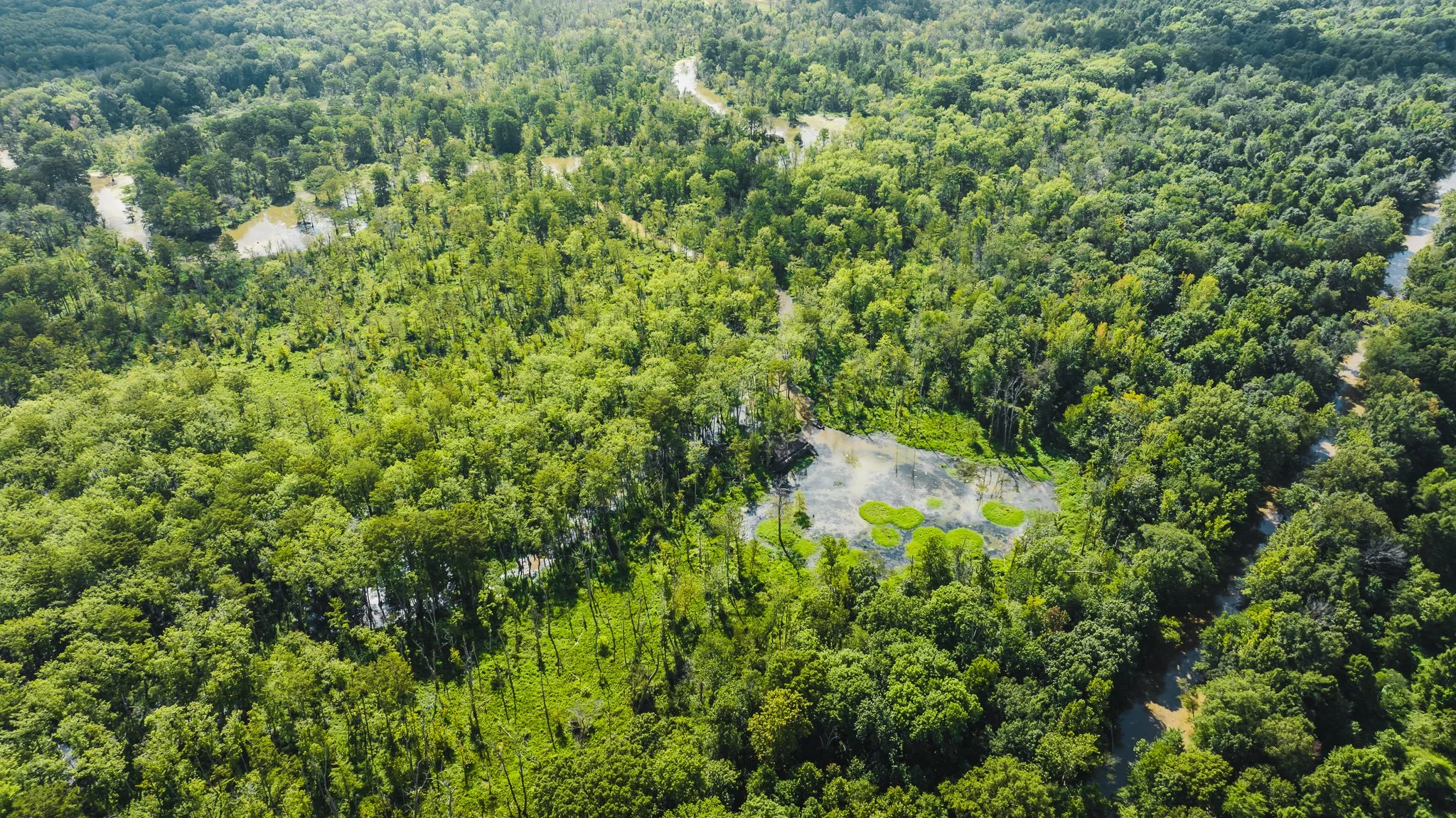 DJI_20250821102707_0105_D-2.jpg
