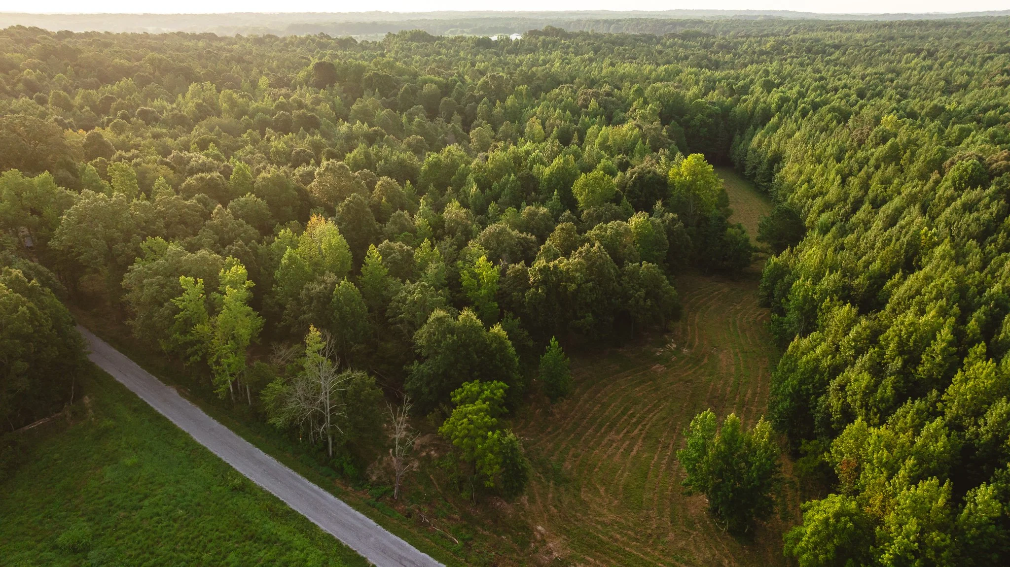 DJI_20260812142915_0131_D.jpg