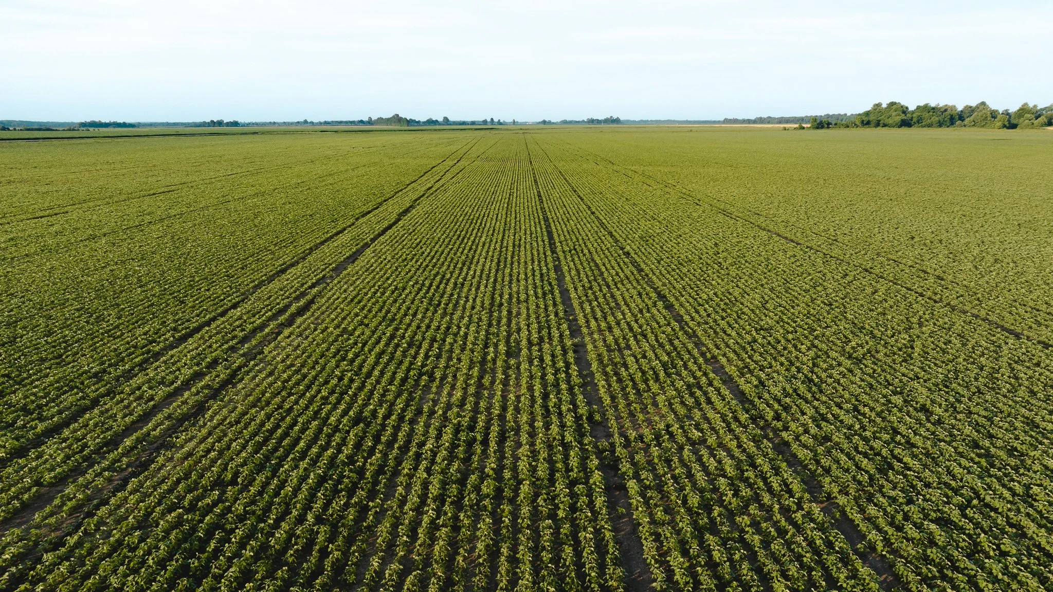 DJI_20260602135112_0015_D.jpg