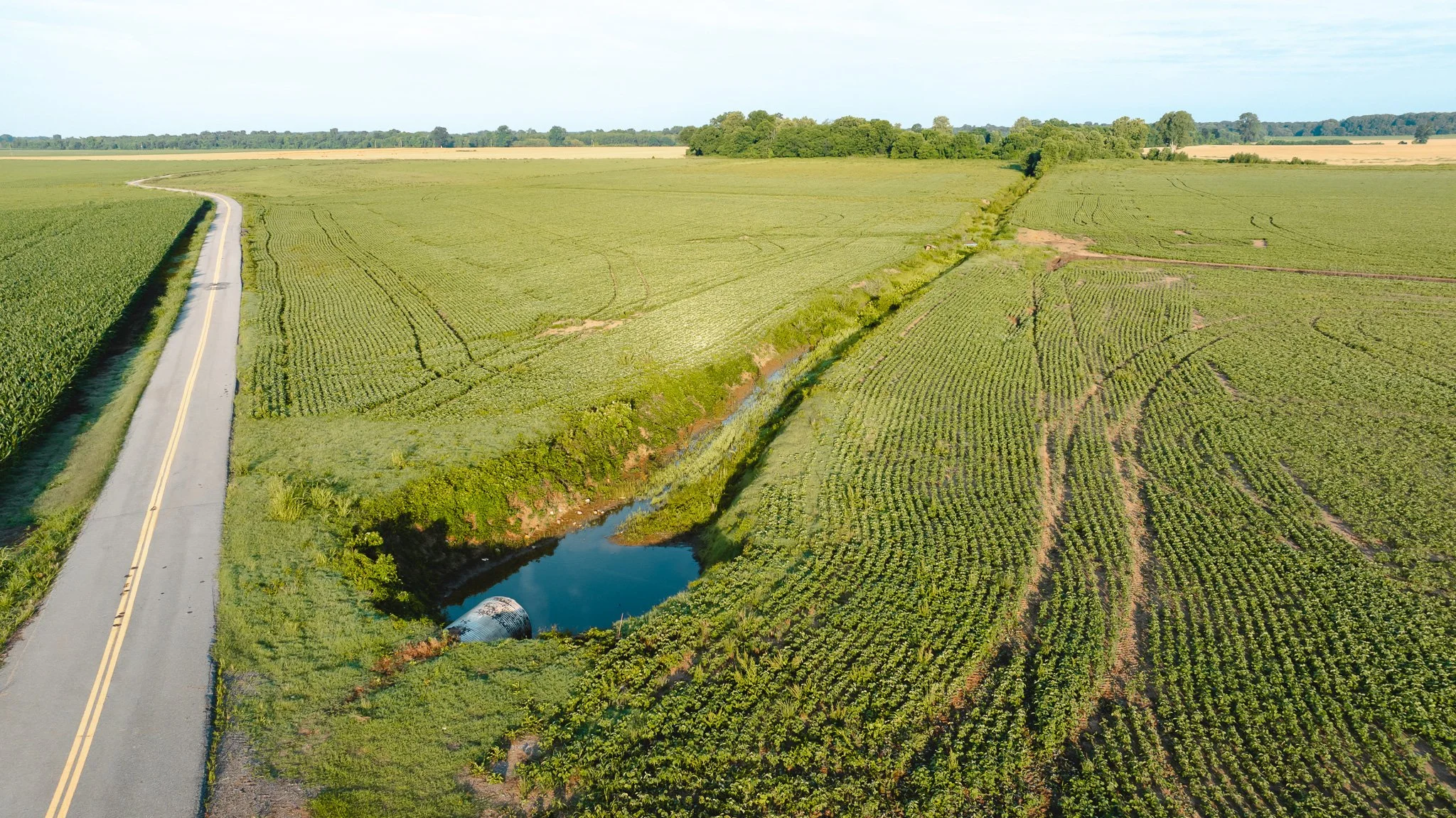 DJI_20260602135827_0035_D.jpg