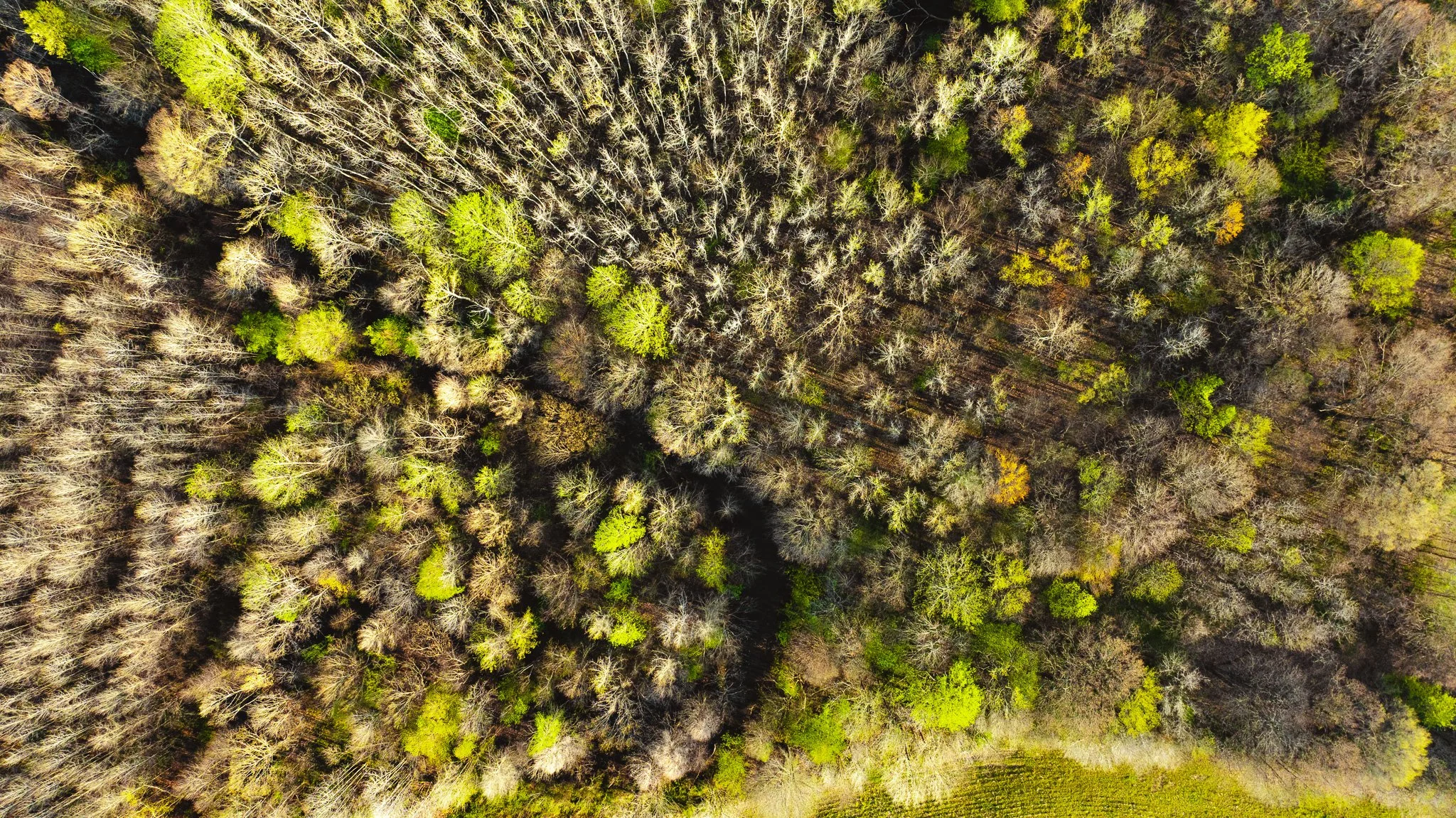 DJI_20260326083950_0008_D.jpg