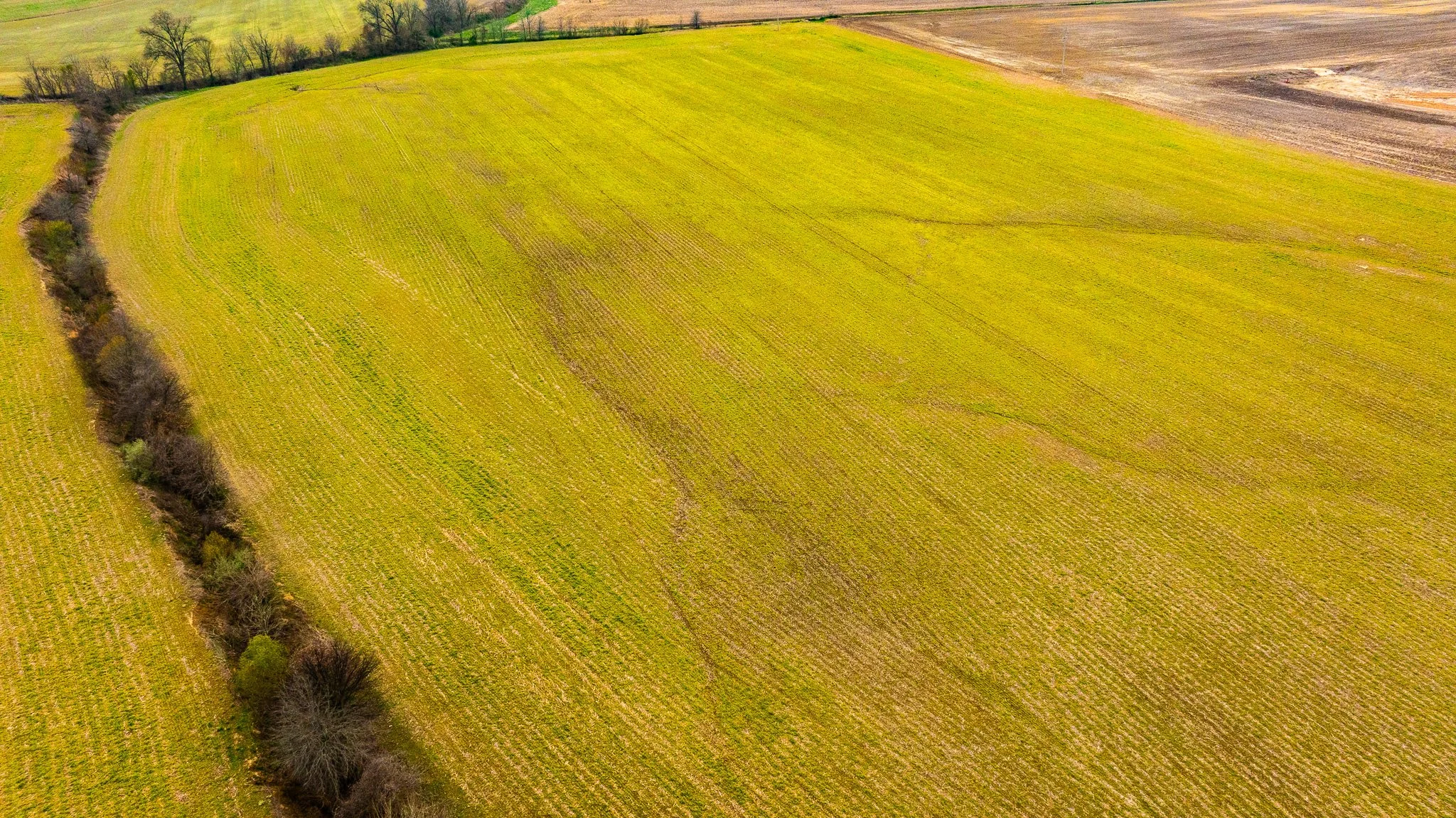 DJI_20260319151841_0020_D.jpg
