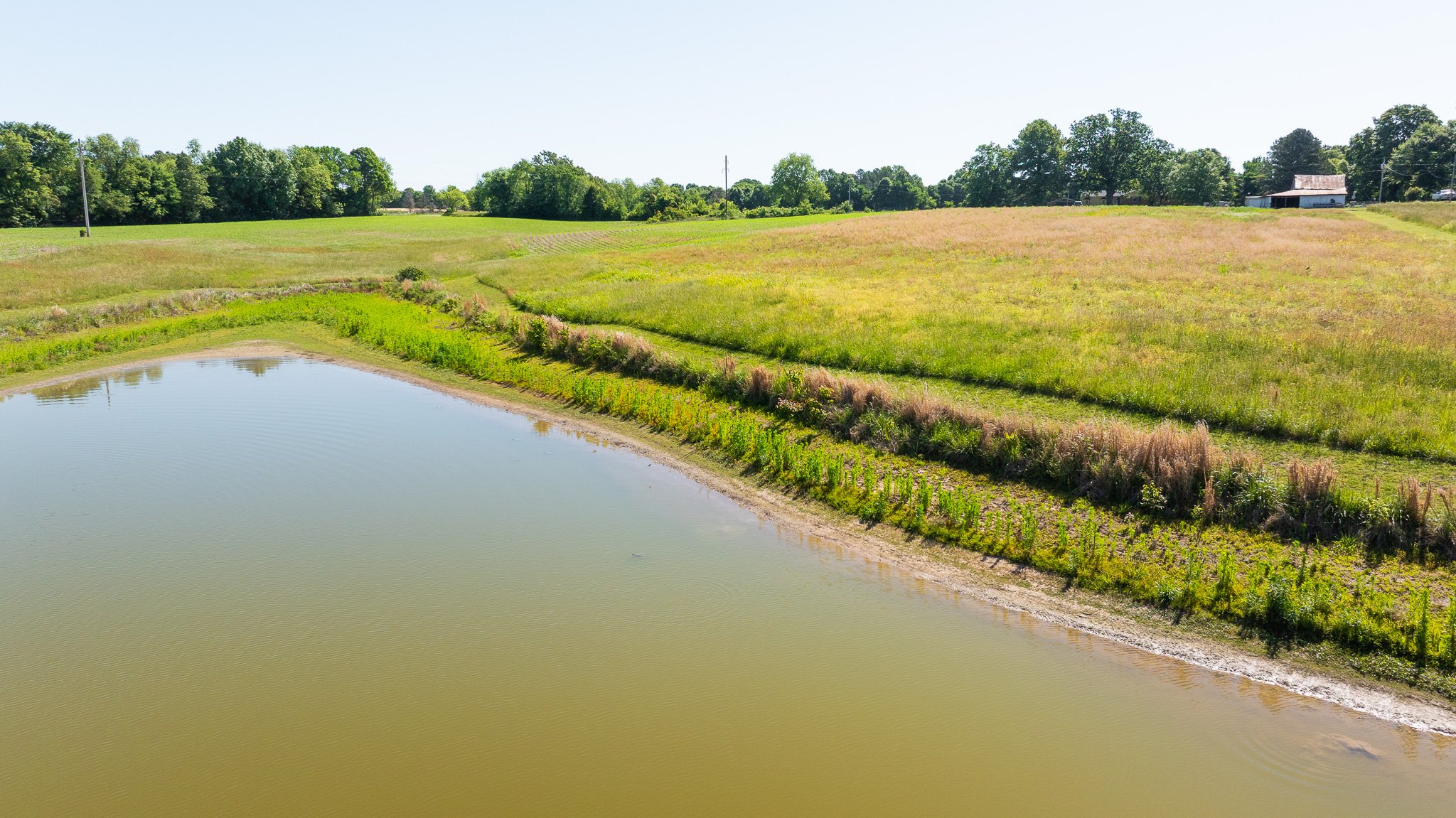 DJI_20260510170246_0013_D.jpg