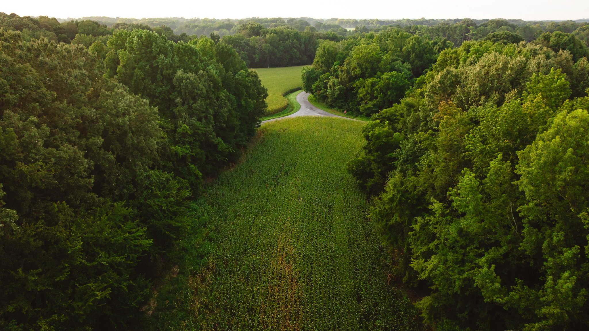 DJI_20260803141653_0040_D.jpg