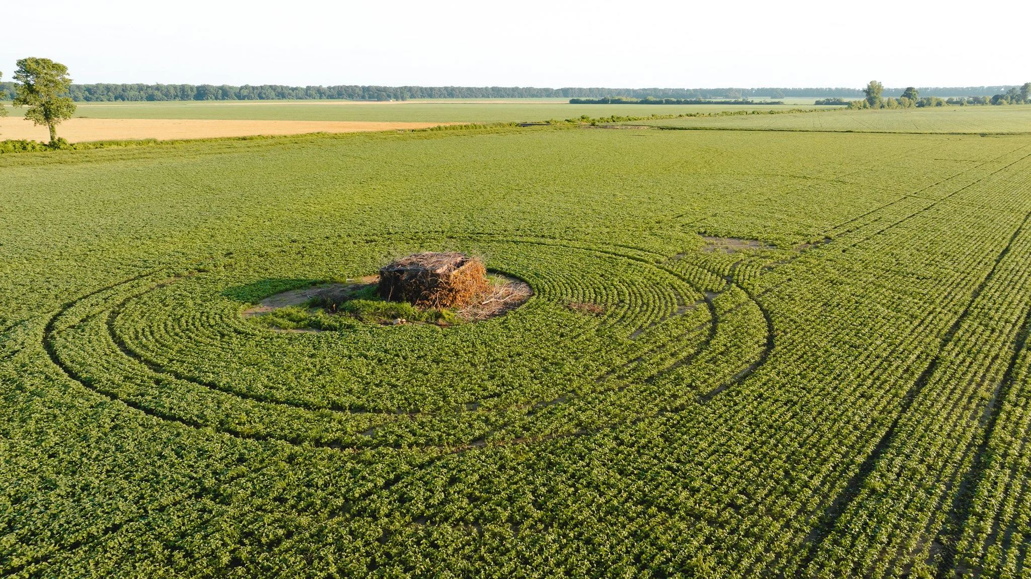 DJI_20260602135258_0021_D.jpg