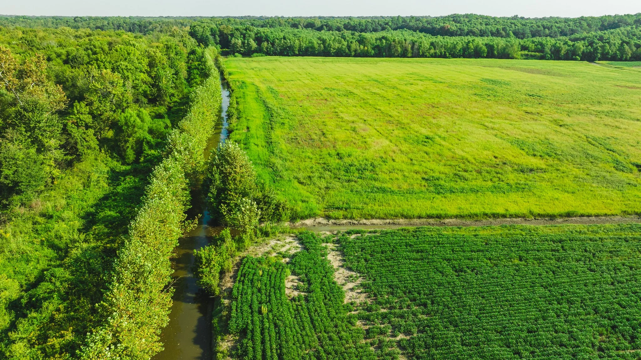 DJI_20250915092126_0017_D.jpg