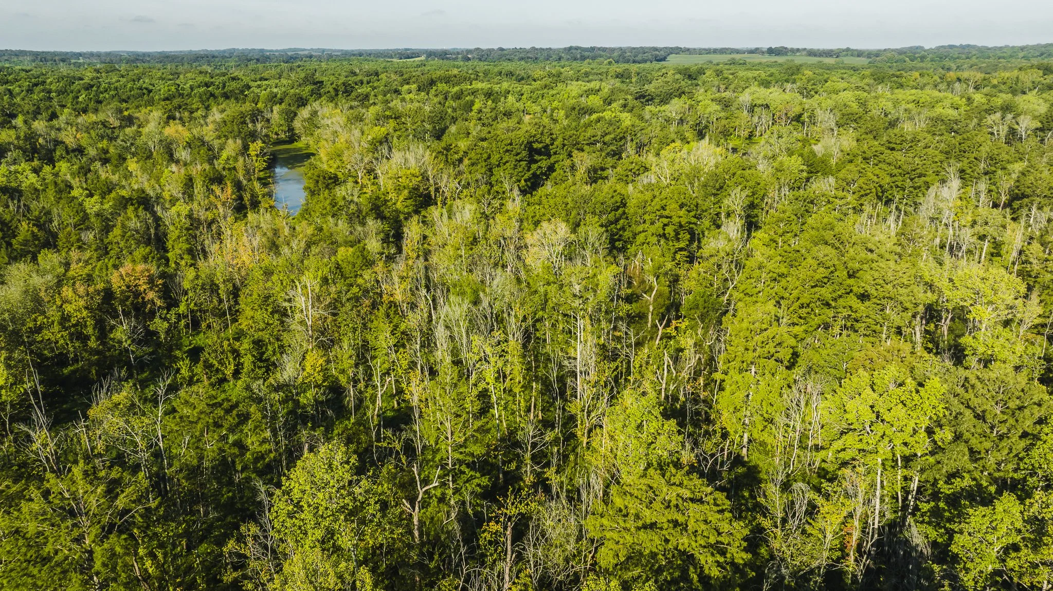 DJI_20250821083150_0037_D.jpg