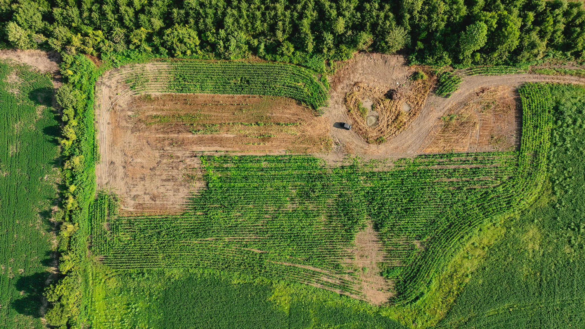 DJI_20260823160542_0018_D.jpg