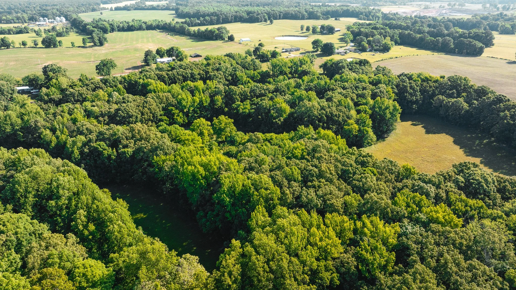 DJI_20260511155806_0009_D.jpg