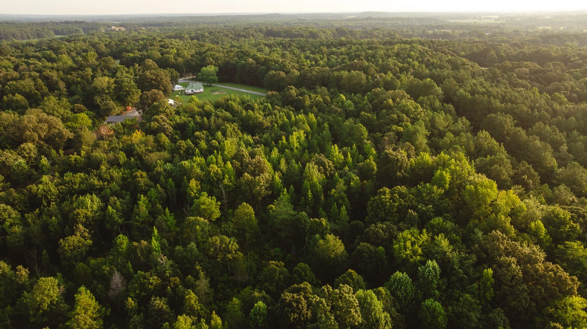 DJI_20260812143550_0147_D.jpg