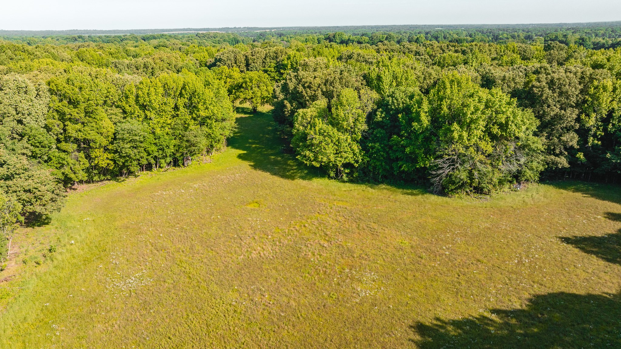 DJI_20260511155733_0008_D.jpg