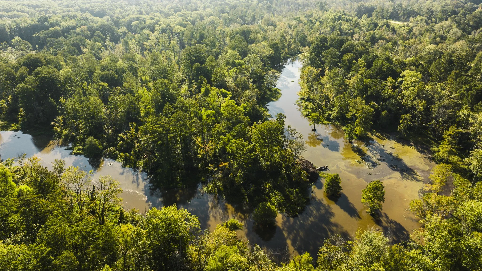 DJI_20250821081702_0007_D.jpg