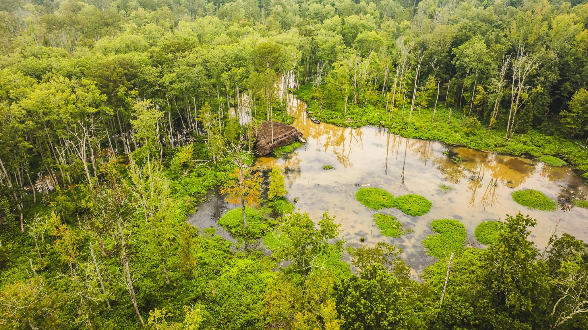 DJI_20250805080650_0042_D.jpg