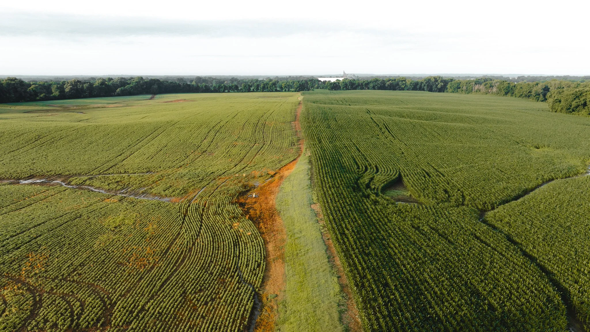 DJI_20260531140243_0076_D.jpg