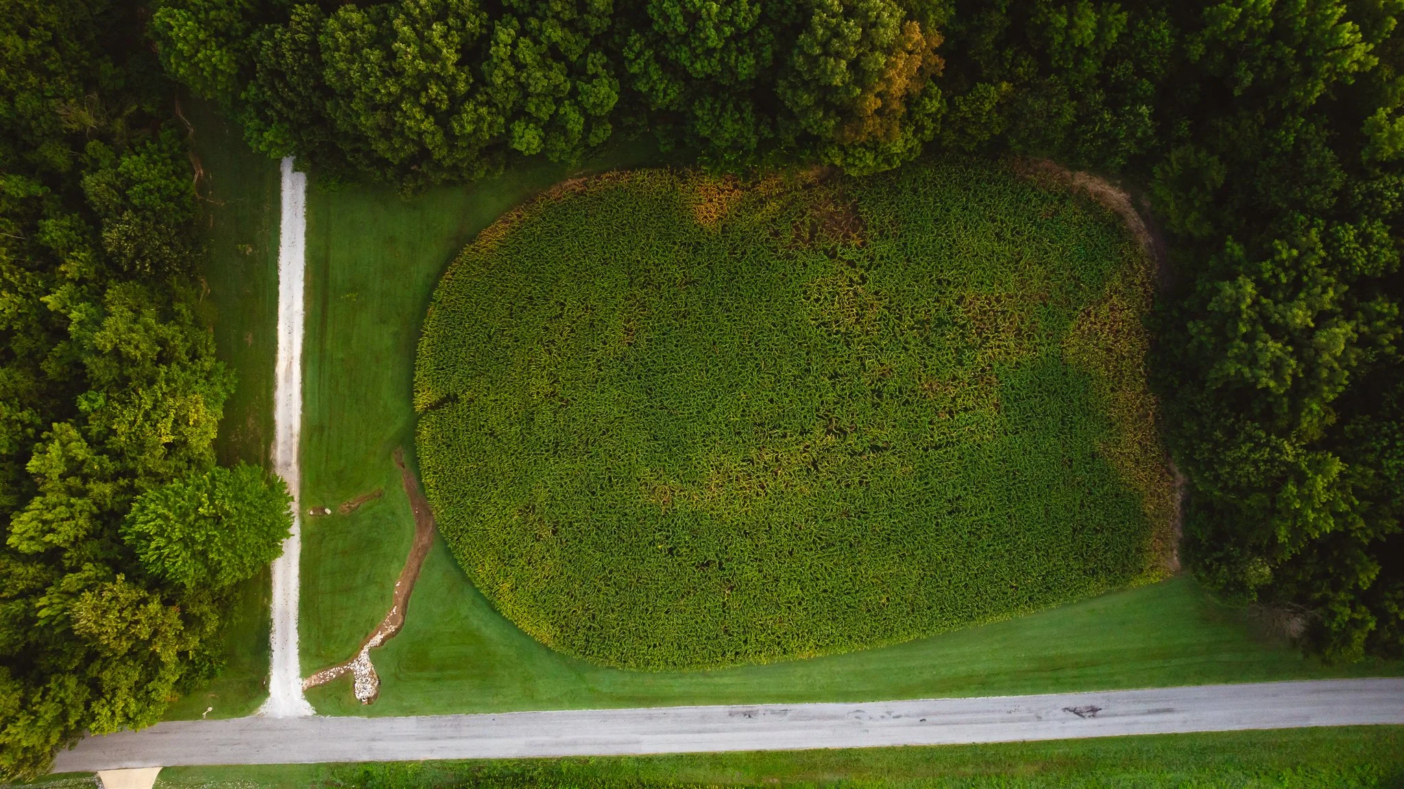 DJI_20260803141532_0037_D.jpg