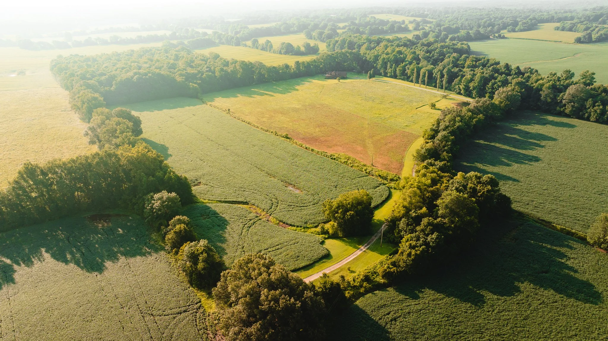 DJI_20260707150502_0041_D.jpg