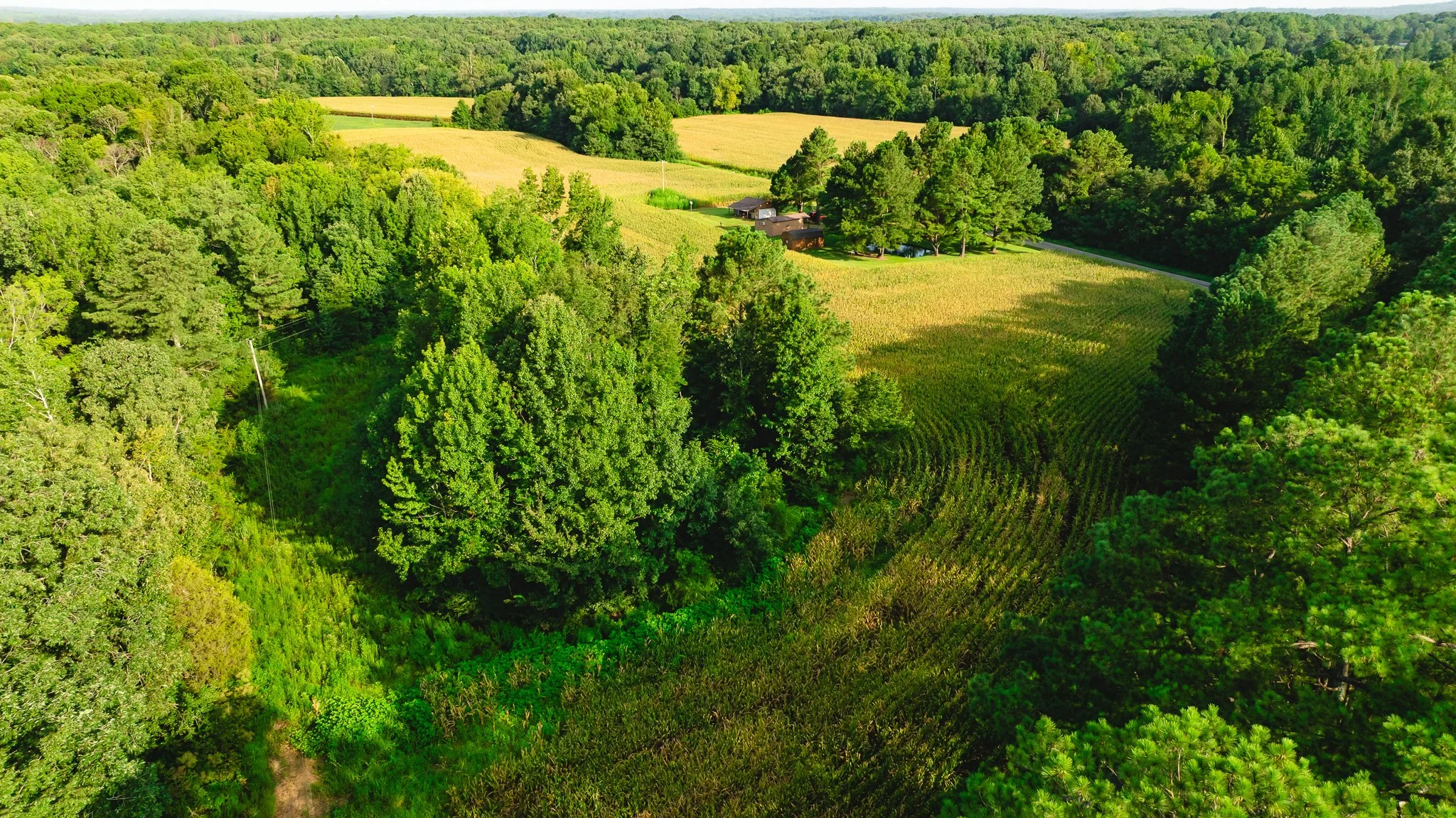 DJI_20260815154737_0039_D.jpg