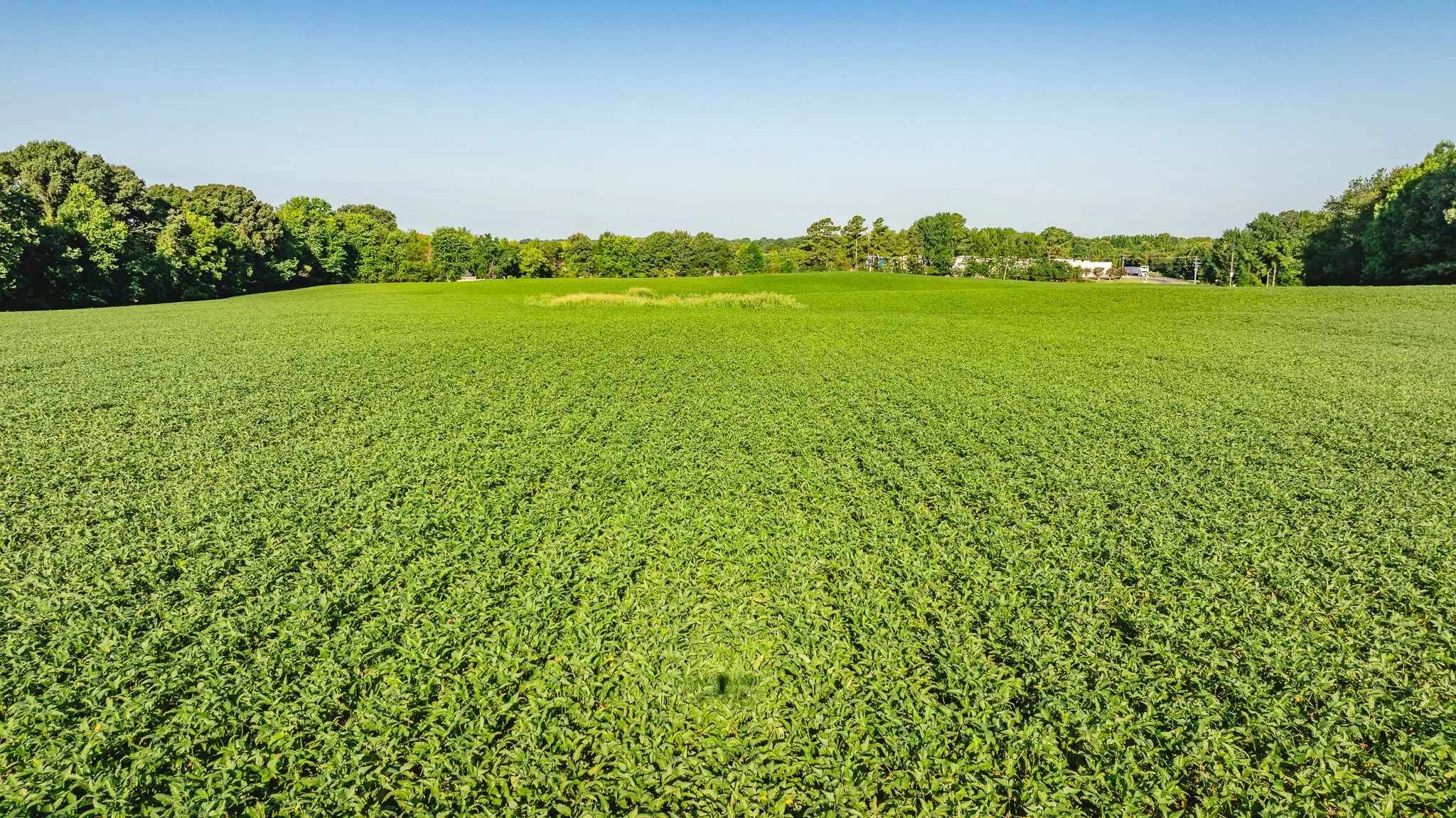 DJI_20260816154150_0004_D.jpg