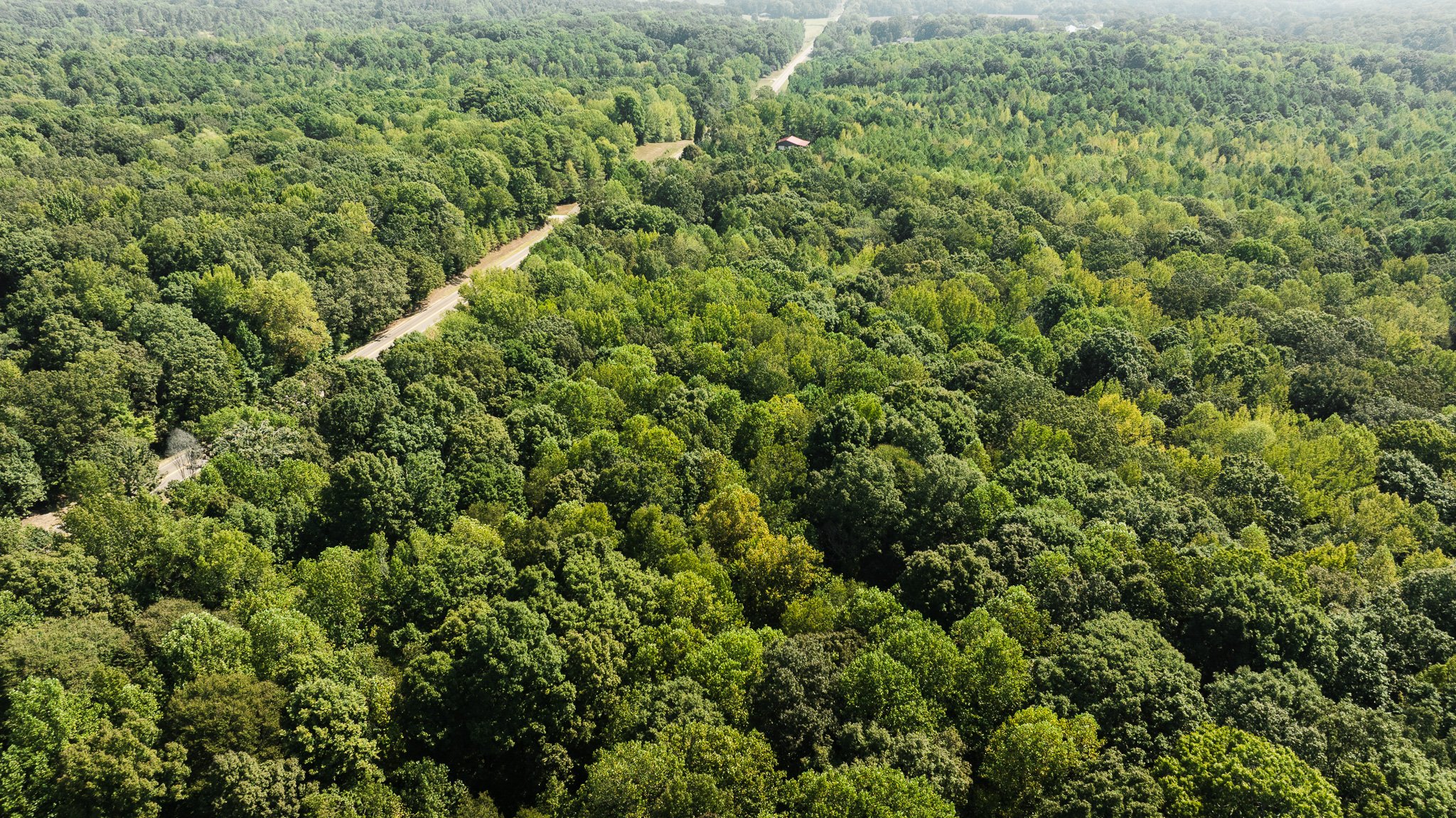 DJI_20250911111924_0039_D.jpg