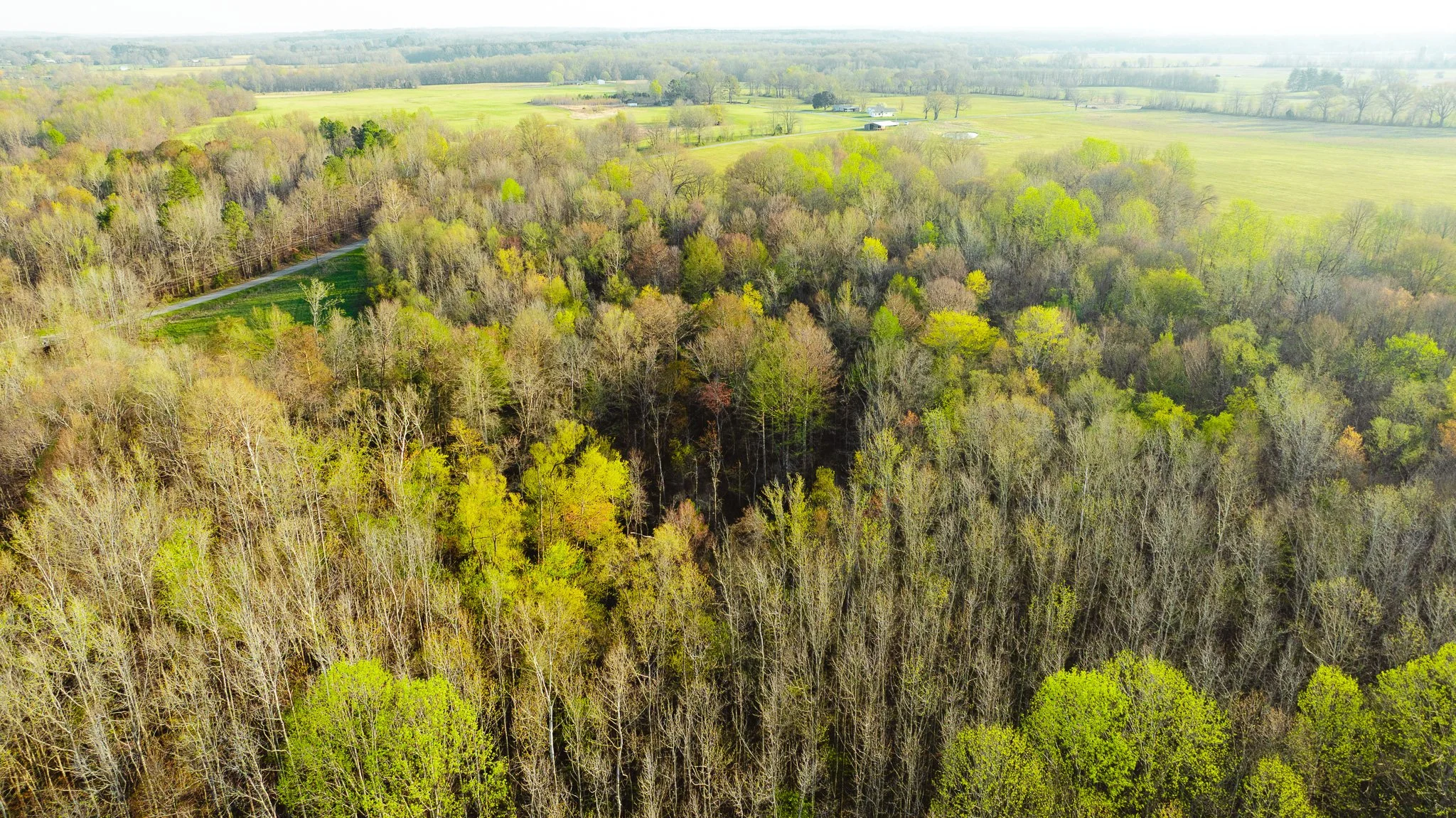 DJI_20260326084034_0010_D.jpg