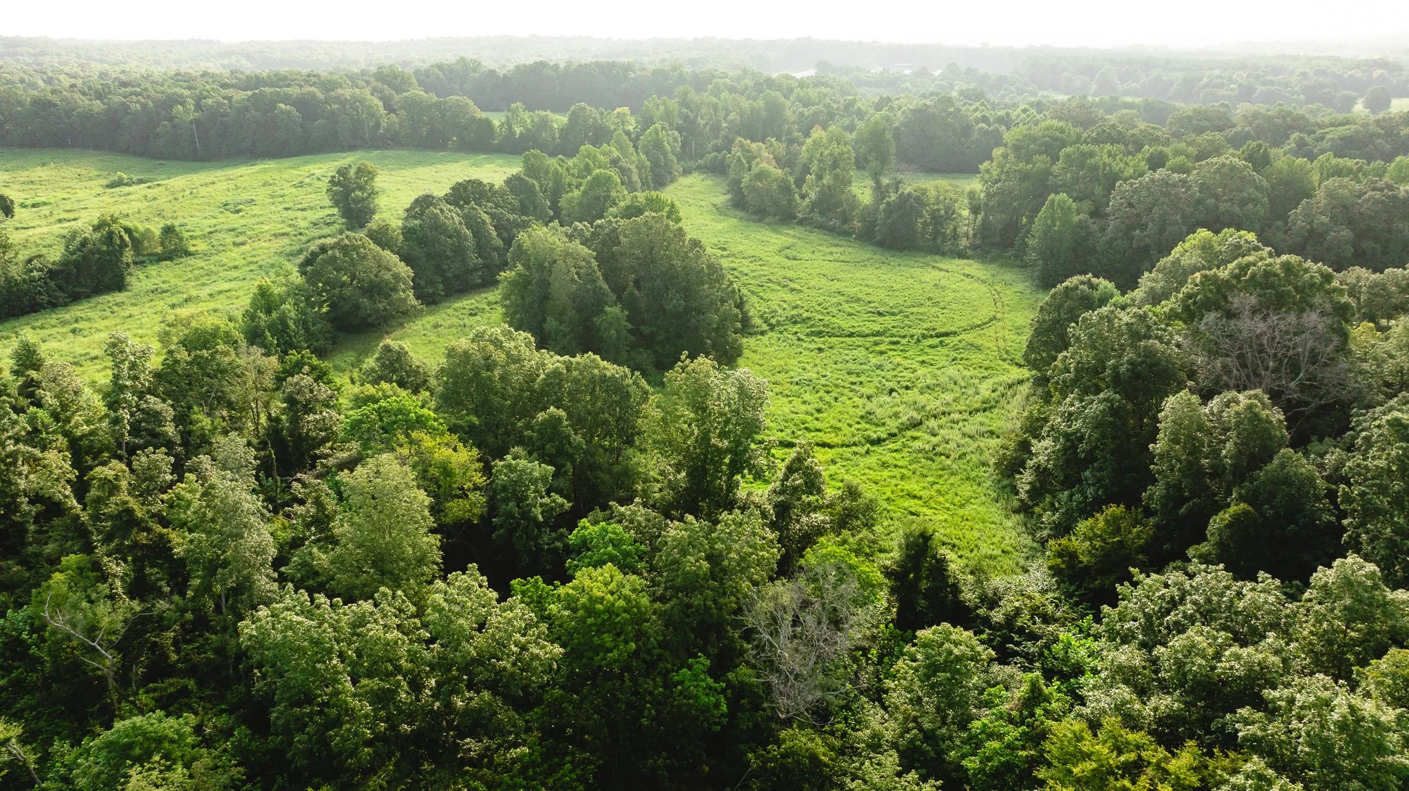 DJI_20260815153353_0006_D.jpg