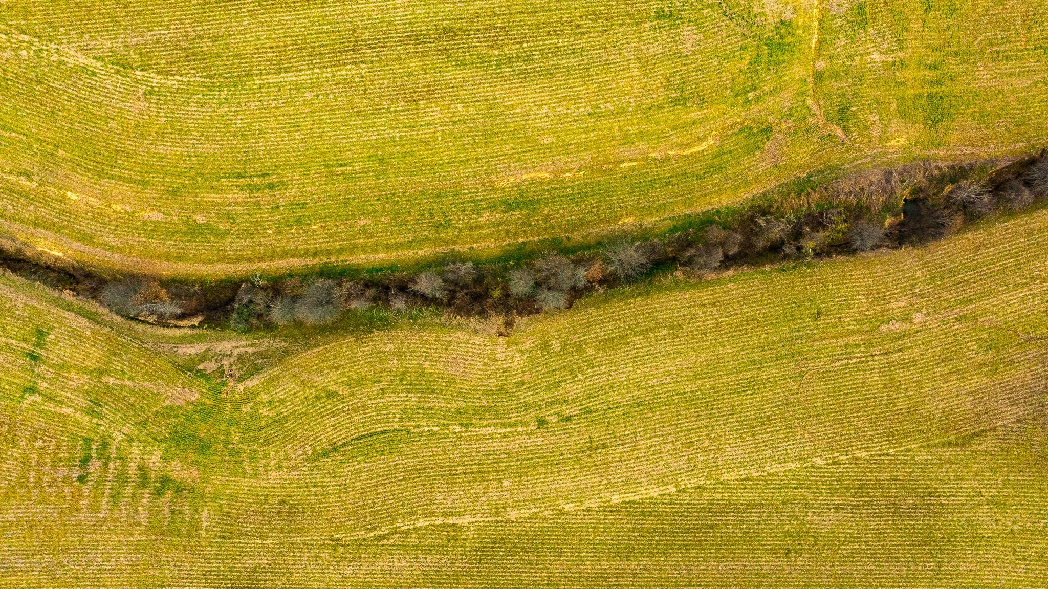 DJI_20260319151809_0017_D.jpg