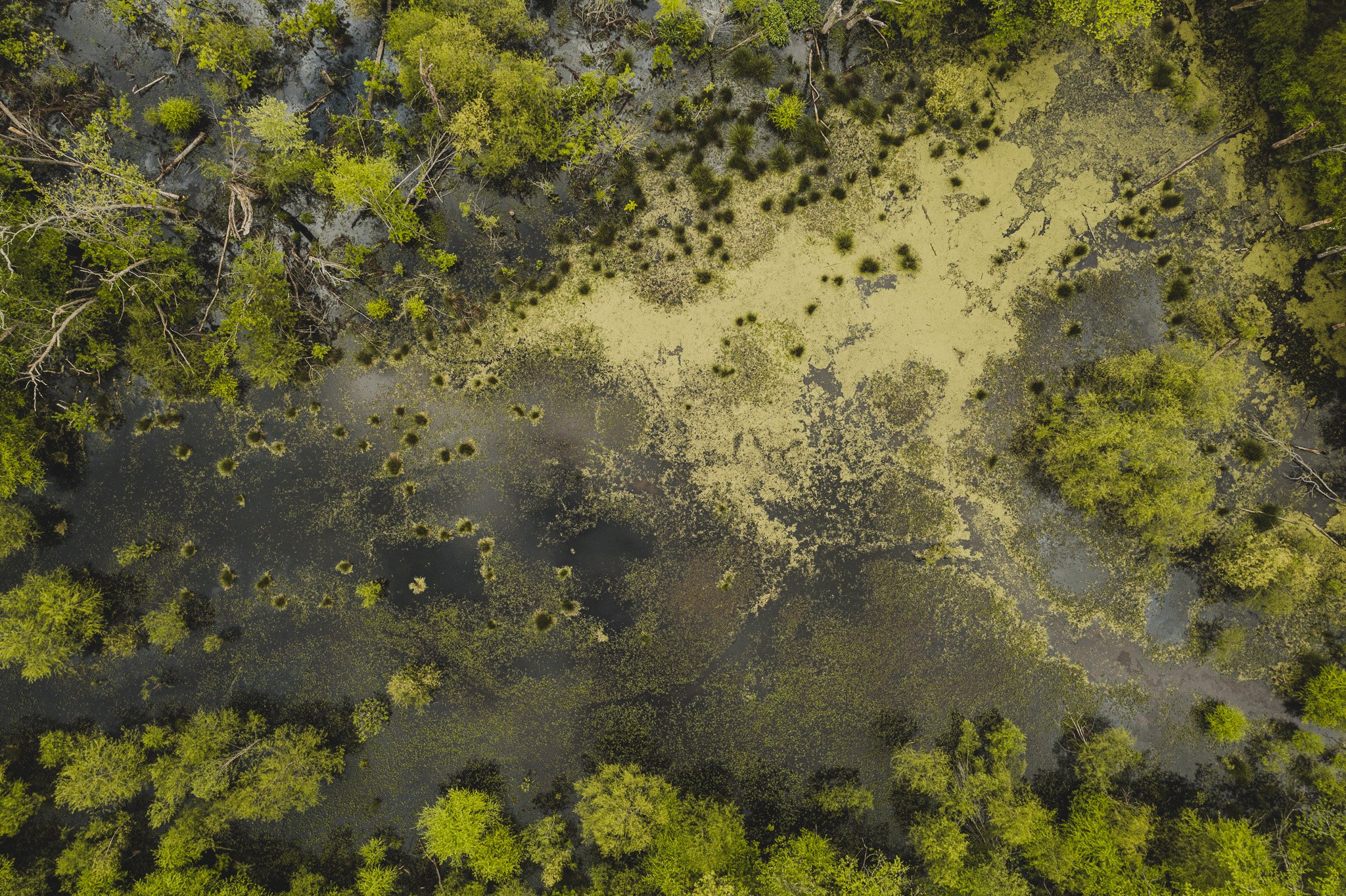 DJI_0653.jpg