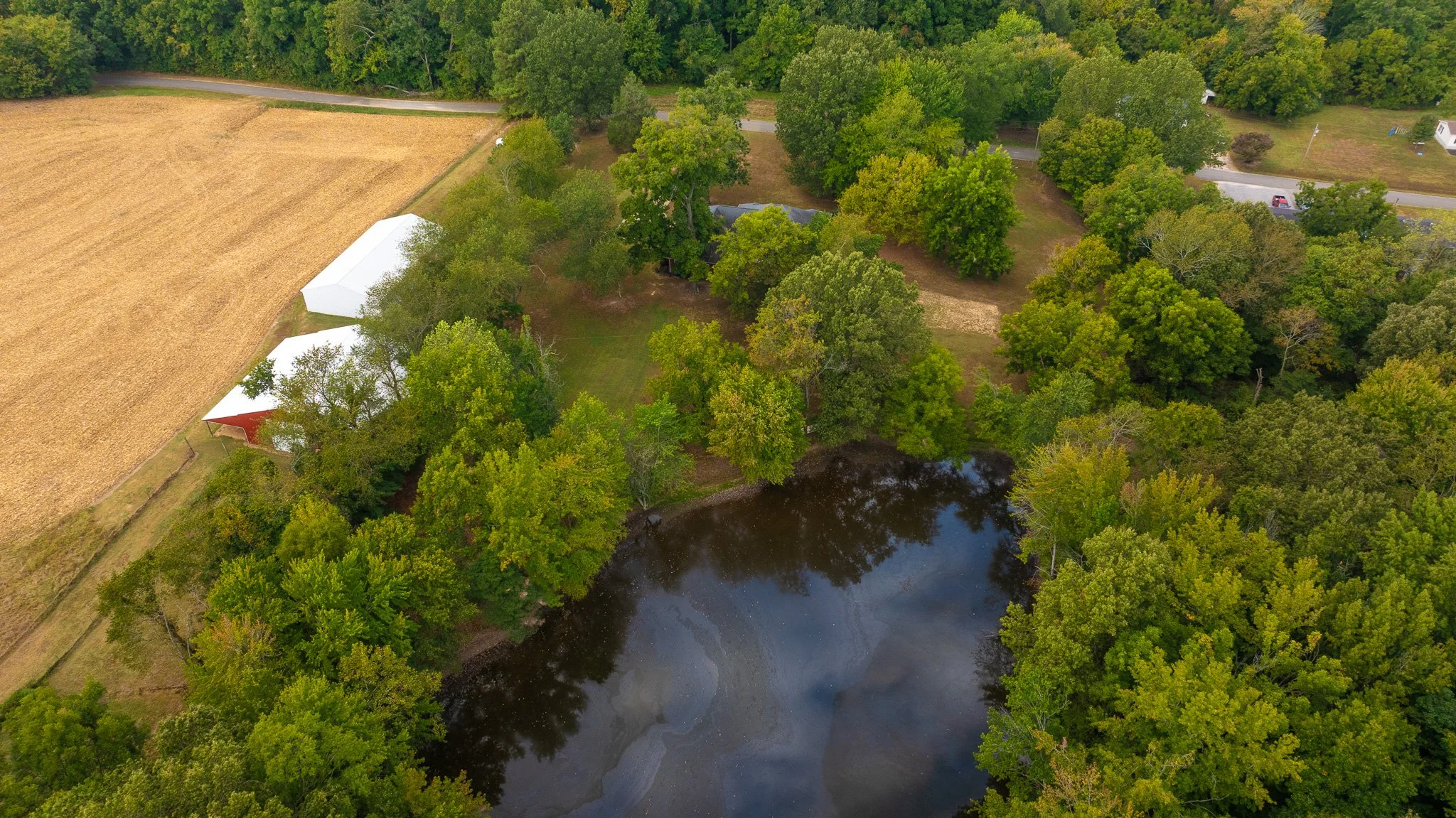 DJI_20250912101337_0006_D.jpg