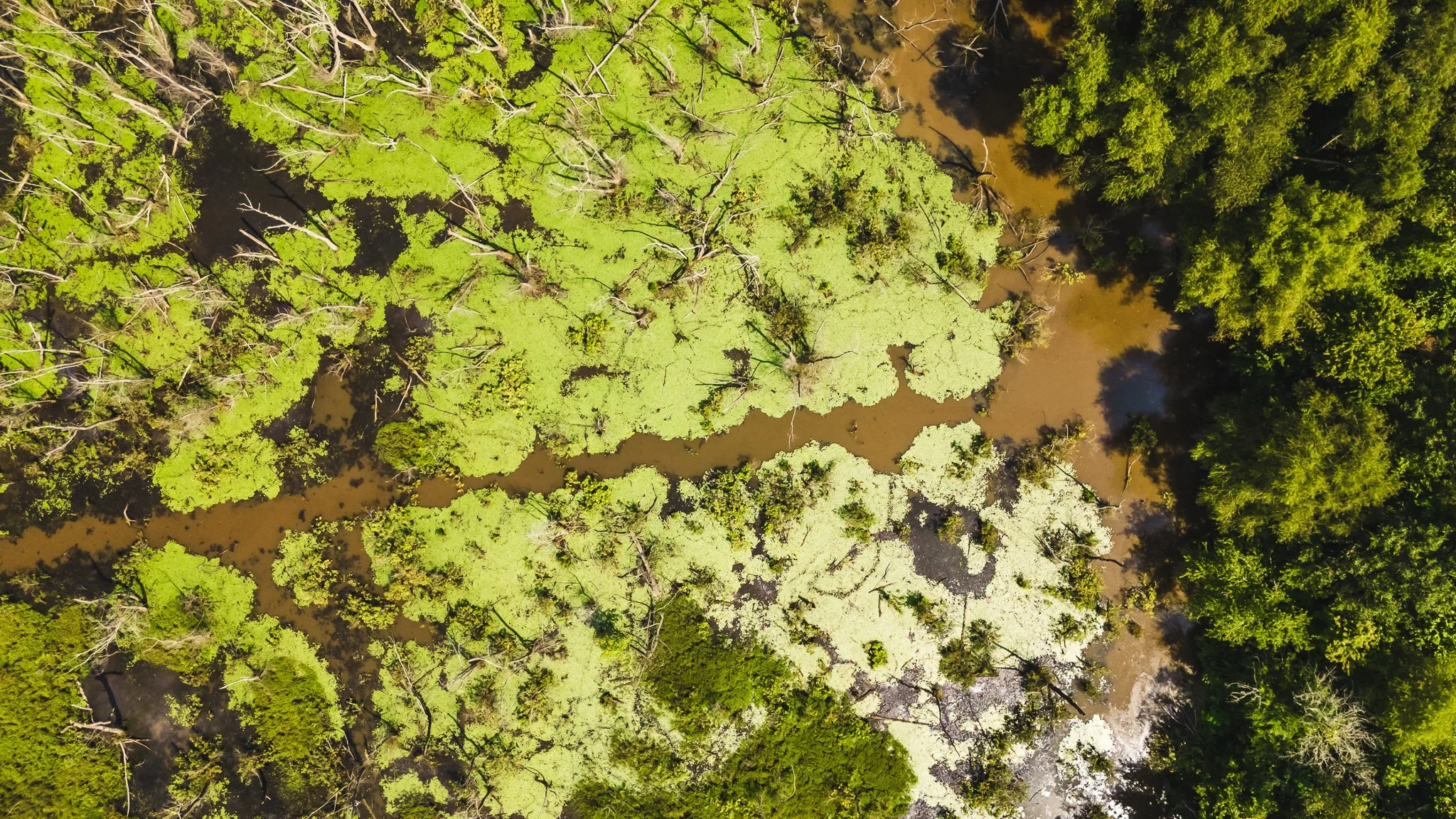 DJI_20250814102333_0023_D.jpg