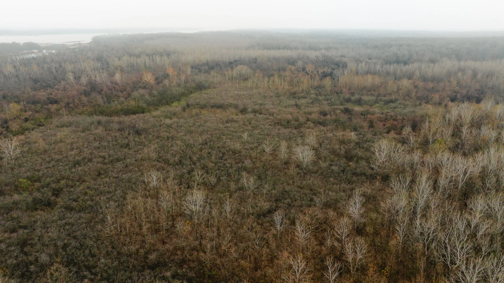 DJI_20251204095514_0030_D.jpg