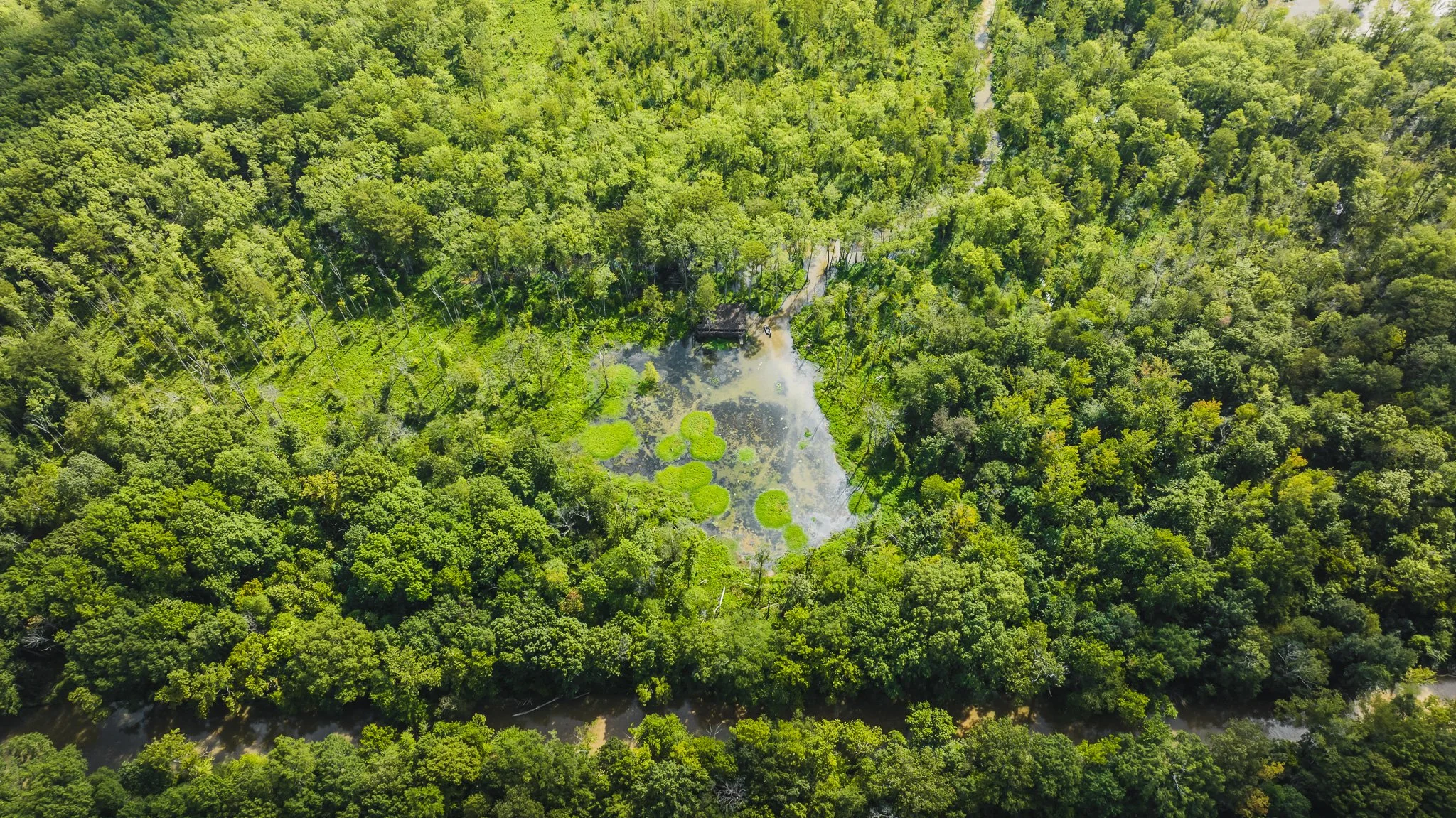 DJI_20250821102117_0094_D.jpg