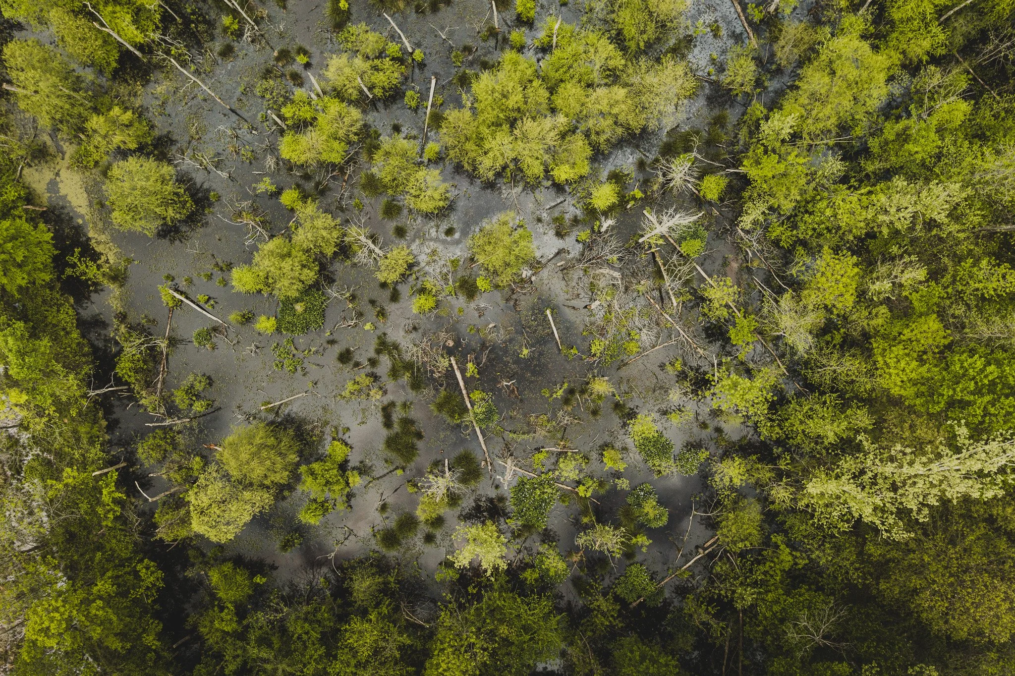 DJI_0652.jpg