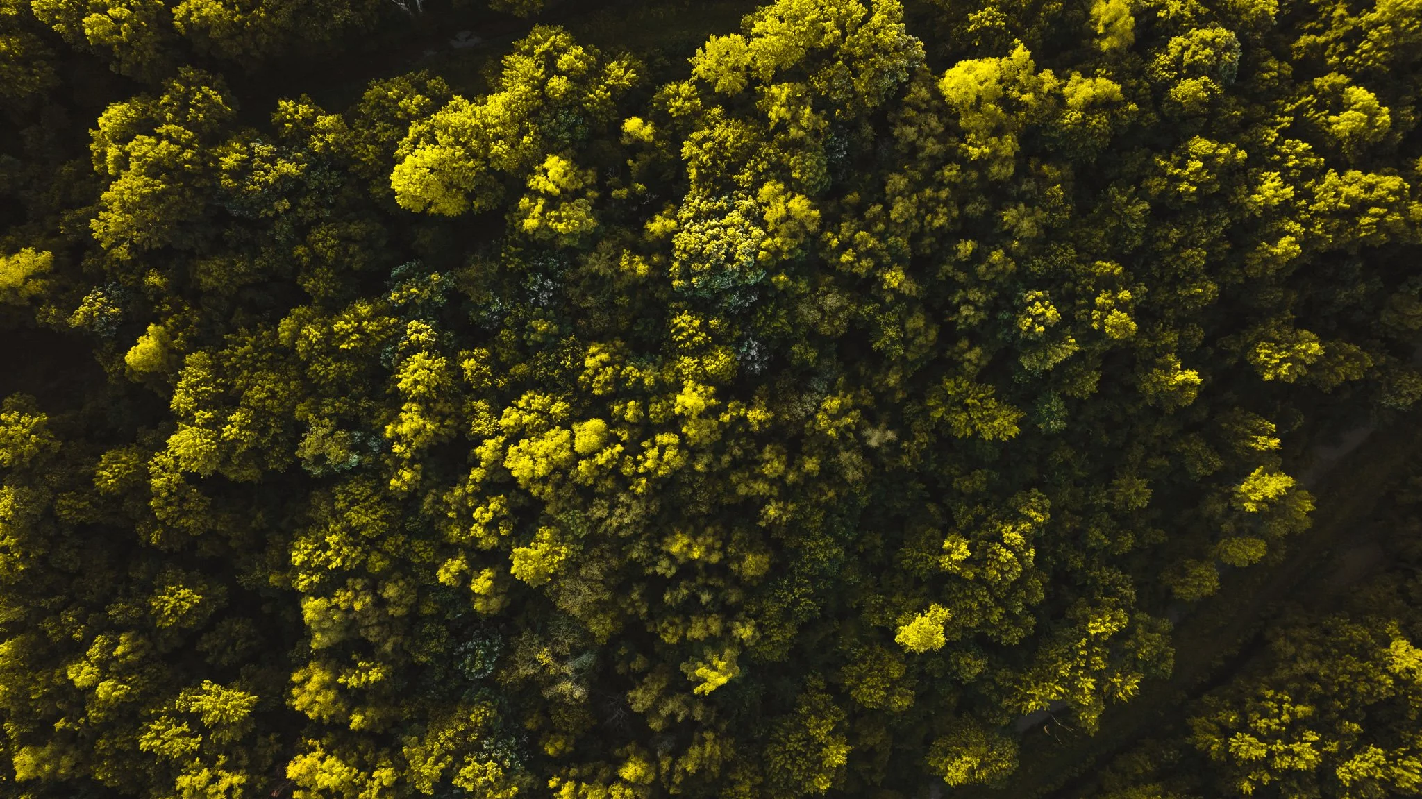 DJI_20260505133426_0025_D.jpg