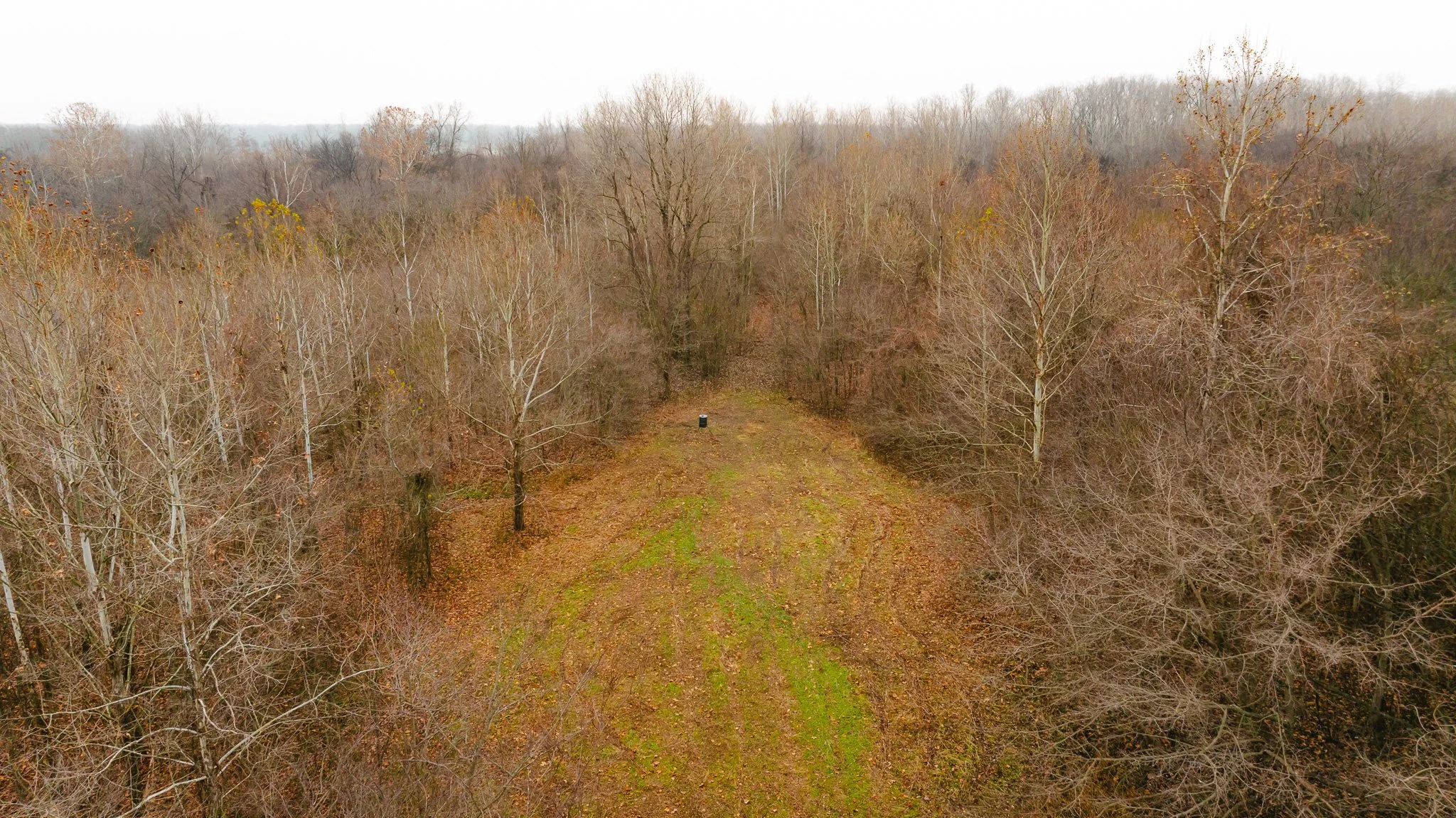 DJI_20251204100249_0047_D.jpg