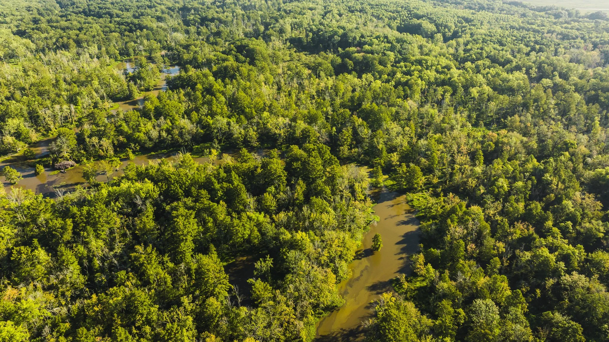 DJI_20250821082047_0017_D.jpg