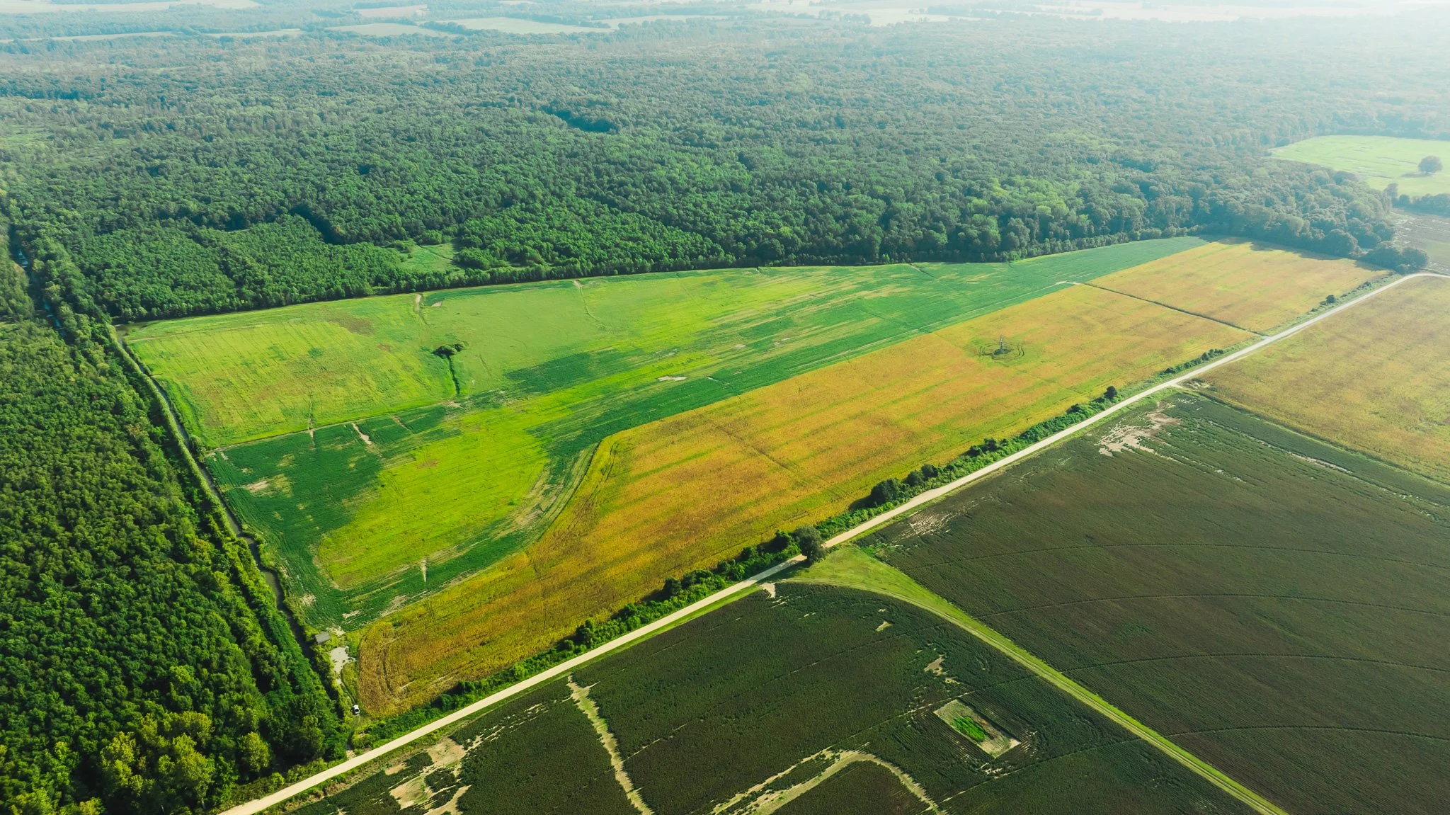 DJI_20250915091501_0003_D.jpg